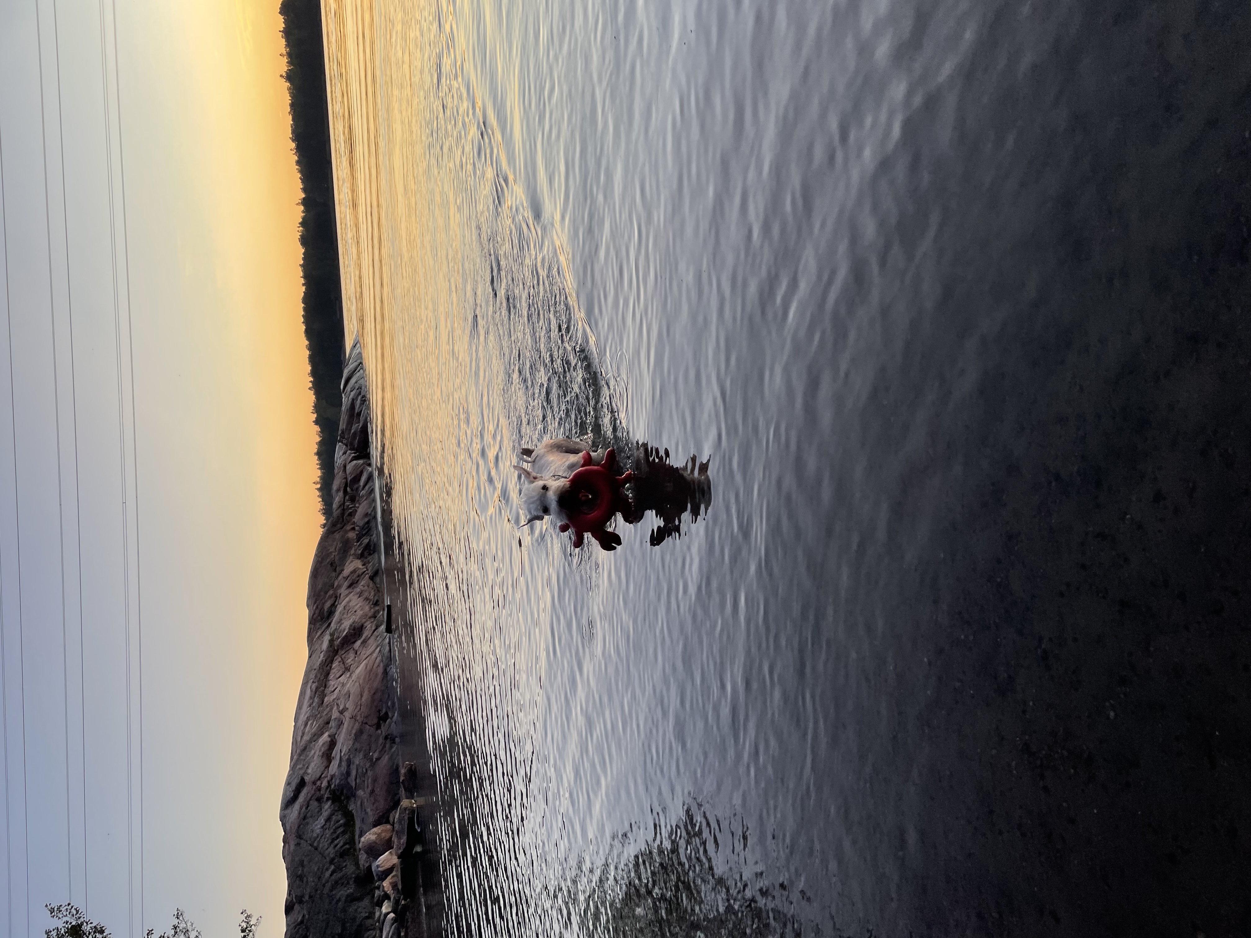 image-8