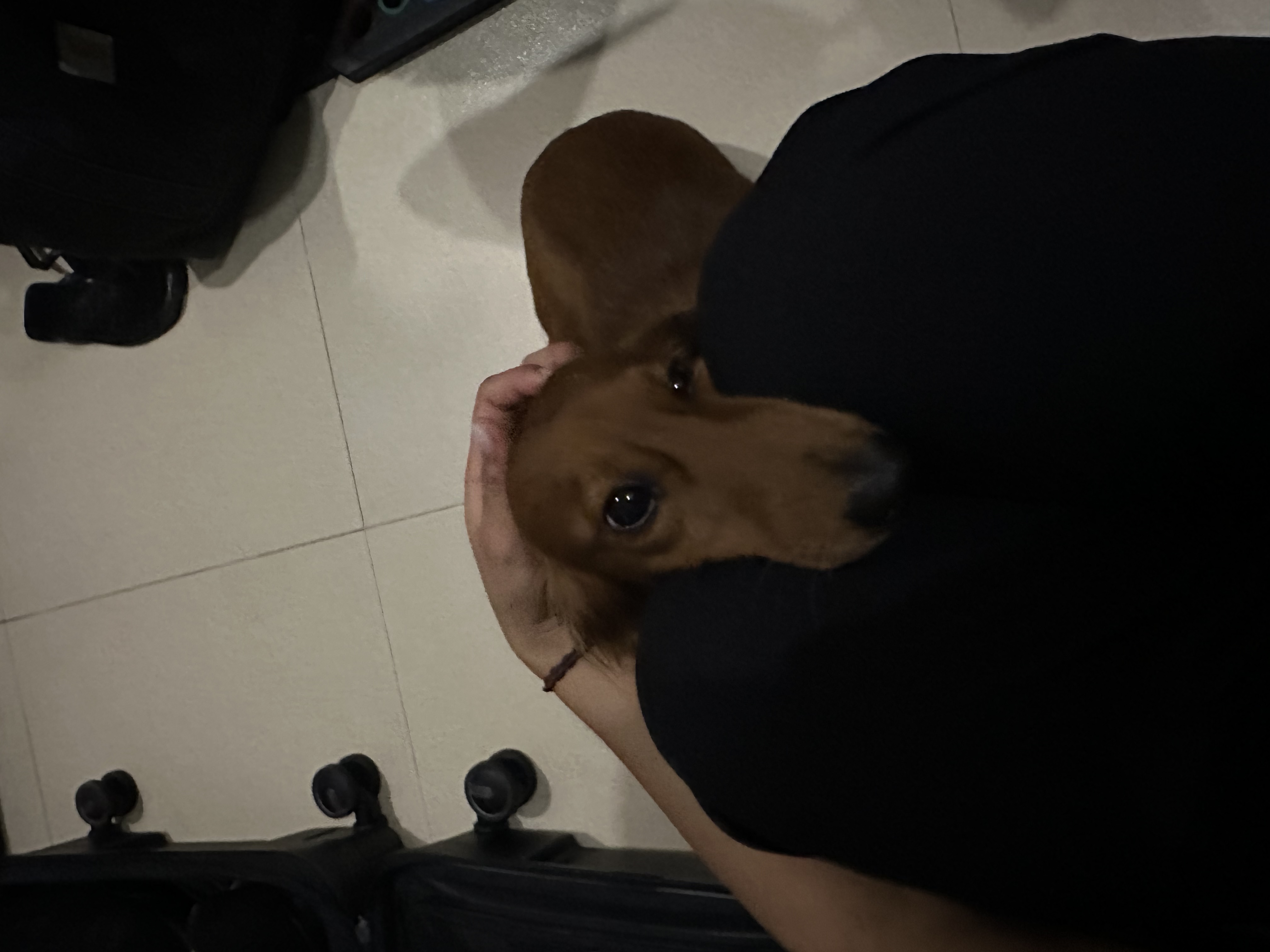 image-6