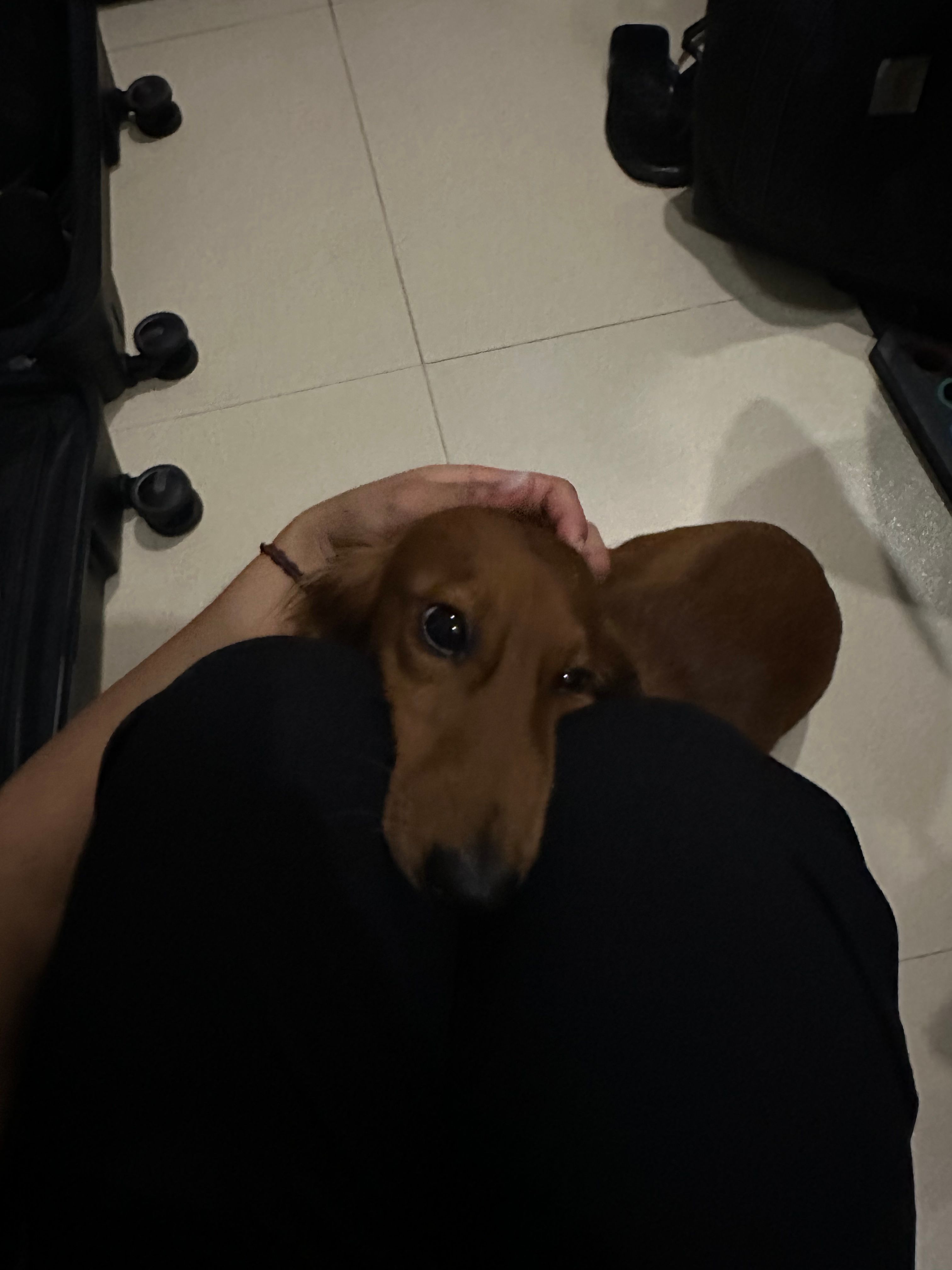 image-6