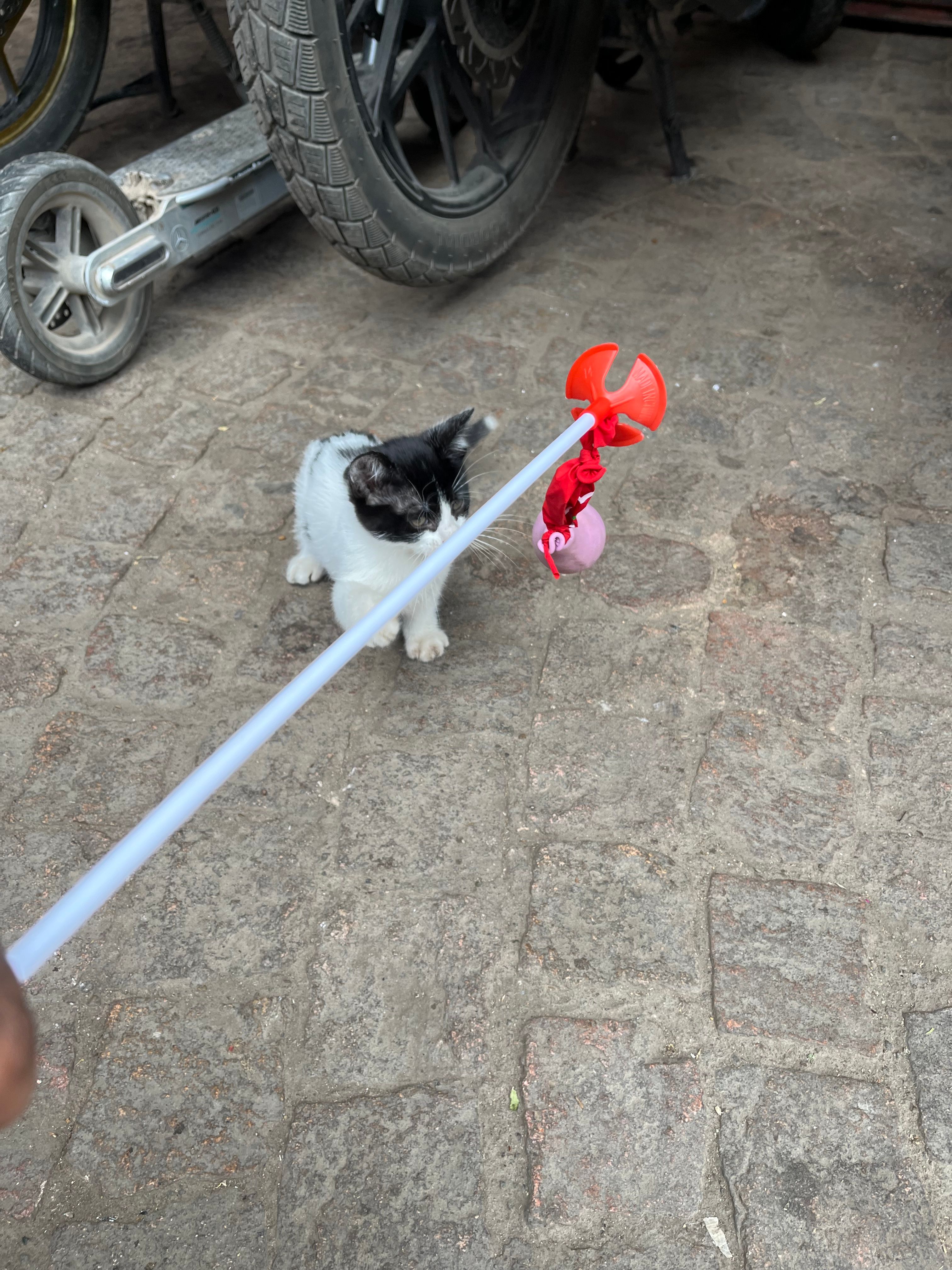 image-10