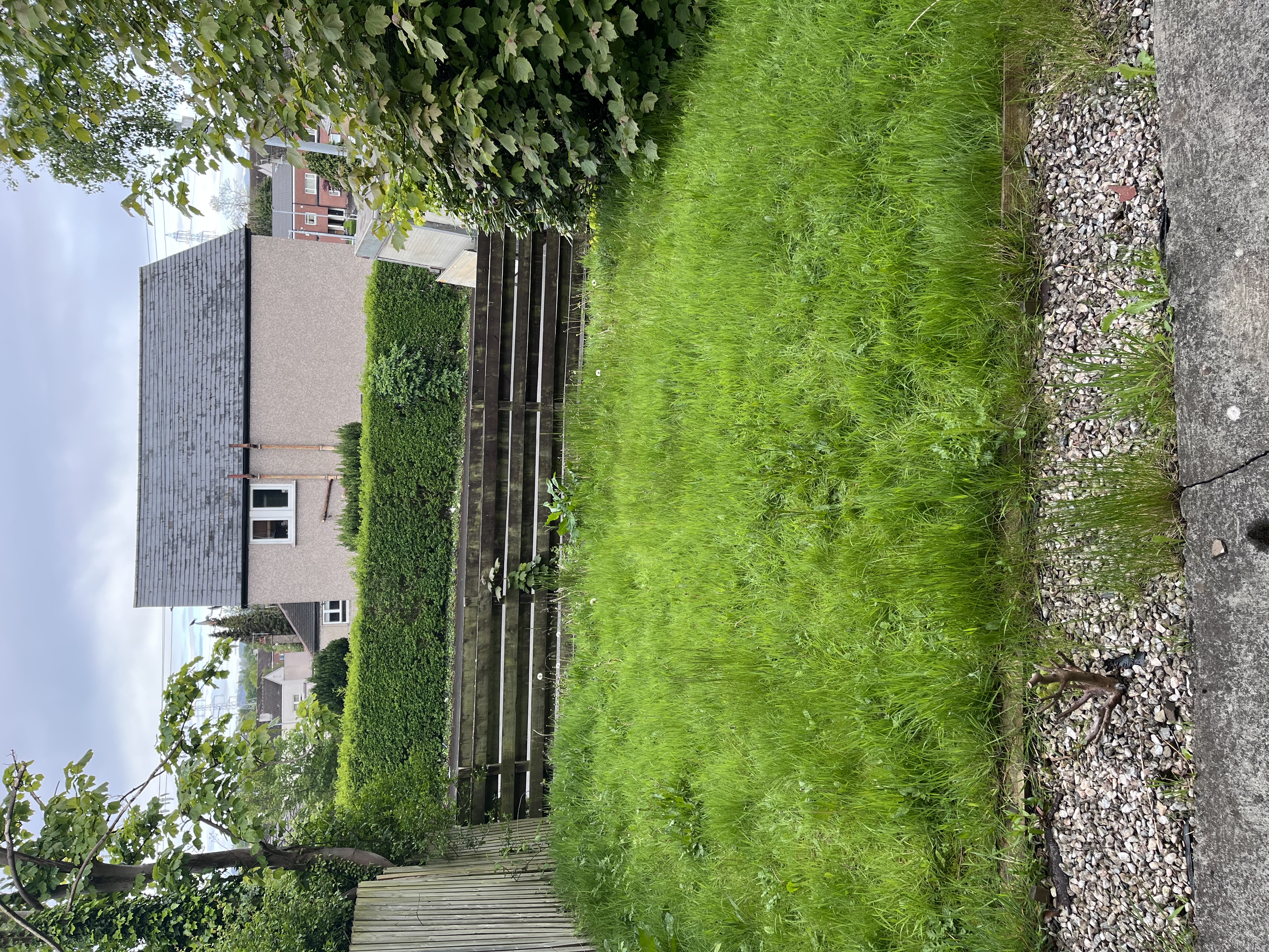 image-23