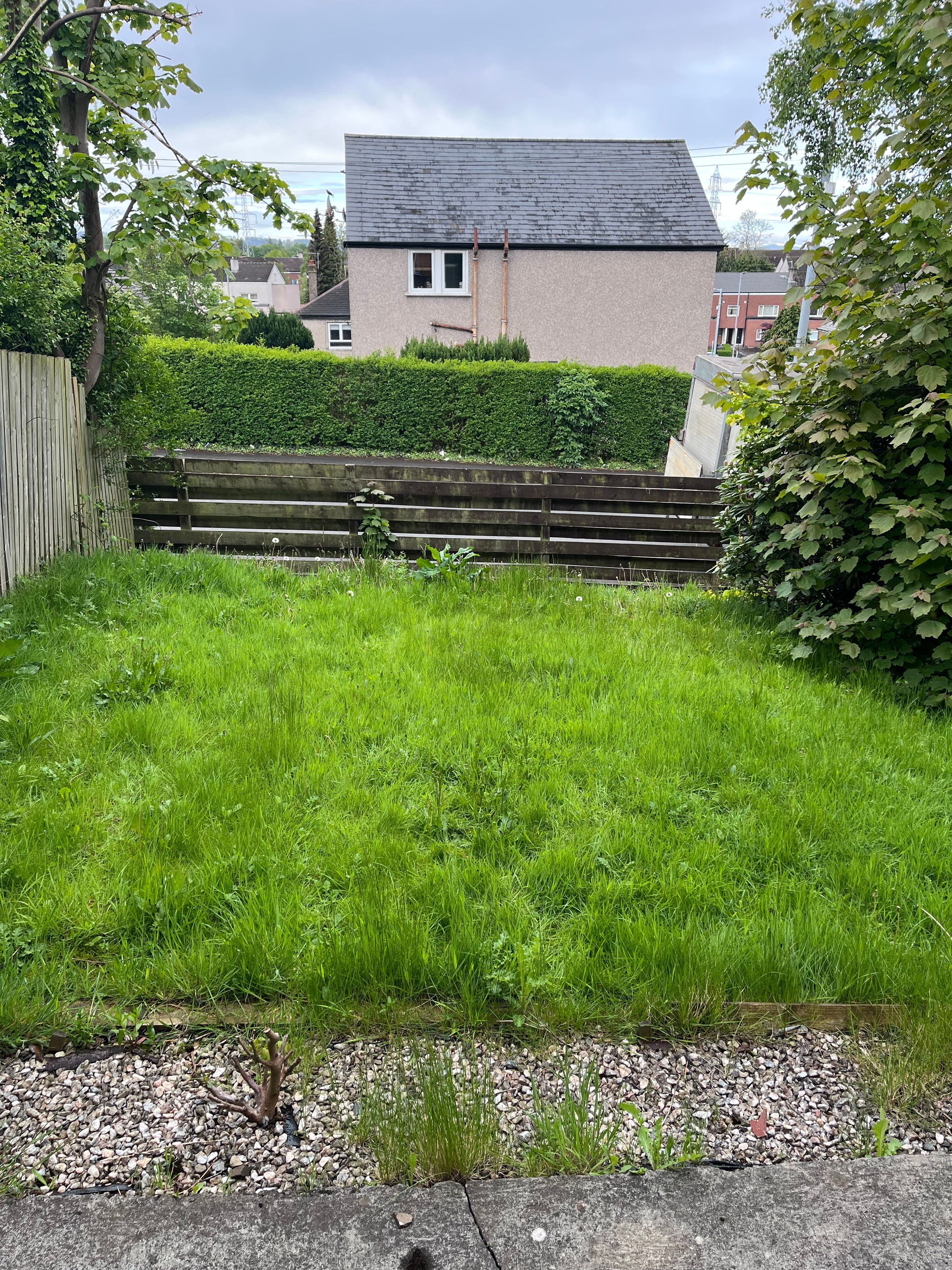 image-23