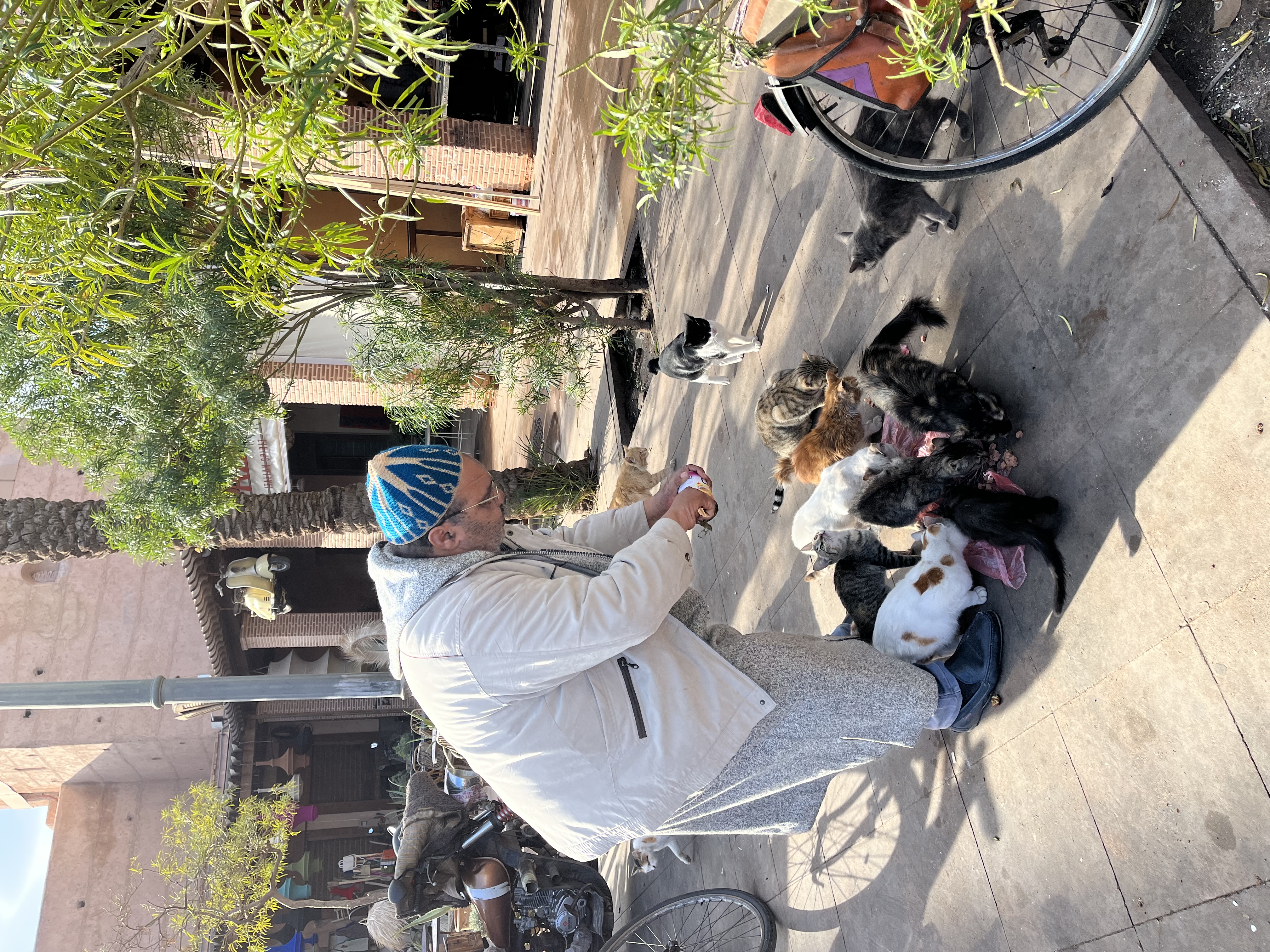 image-16