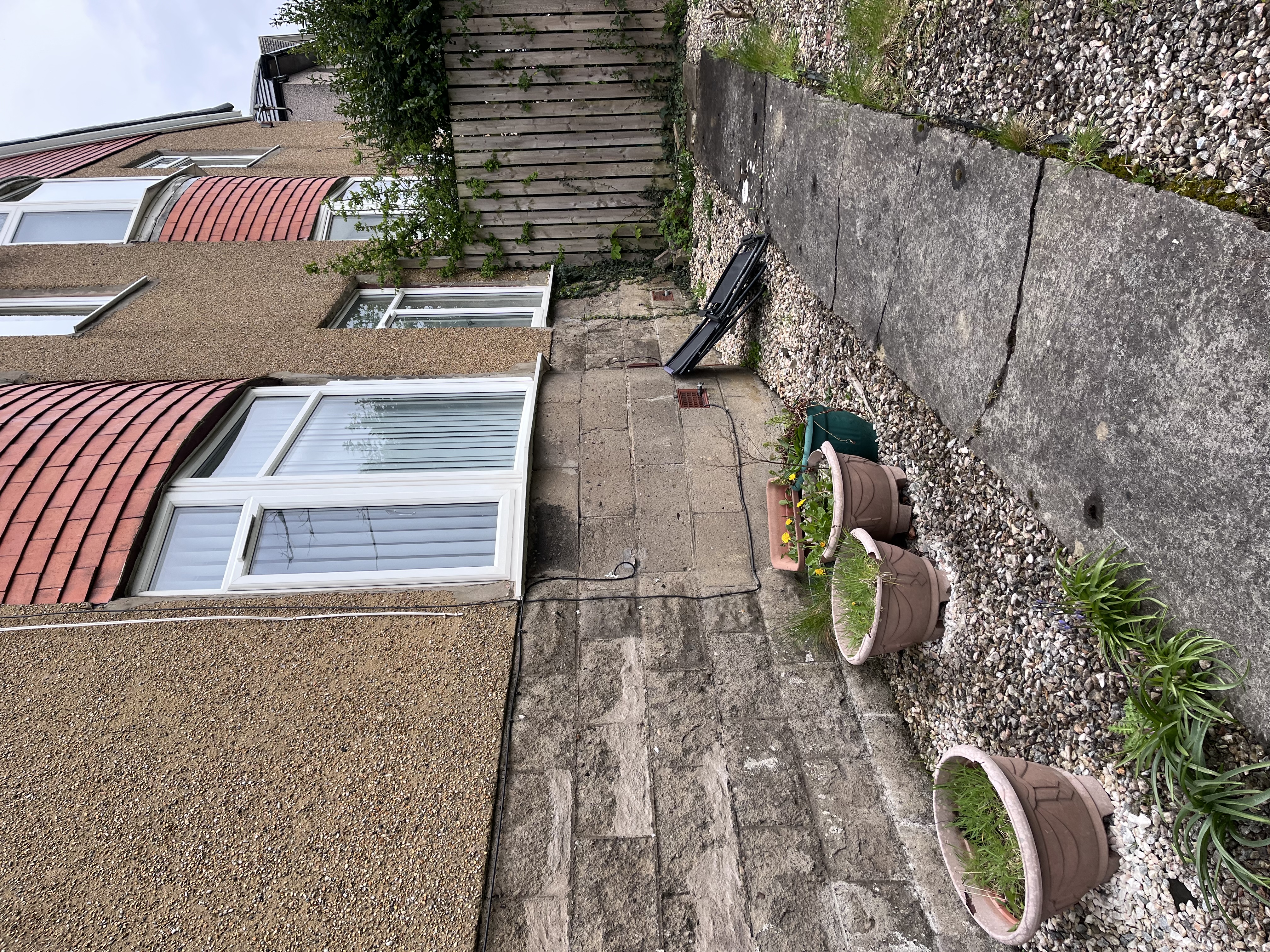 image-19