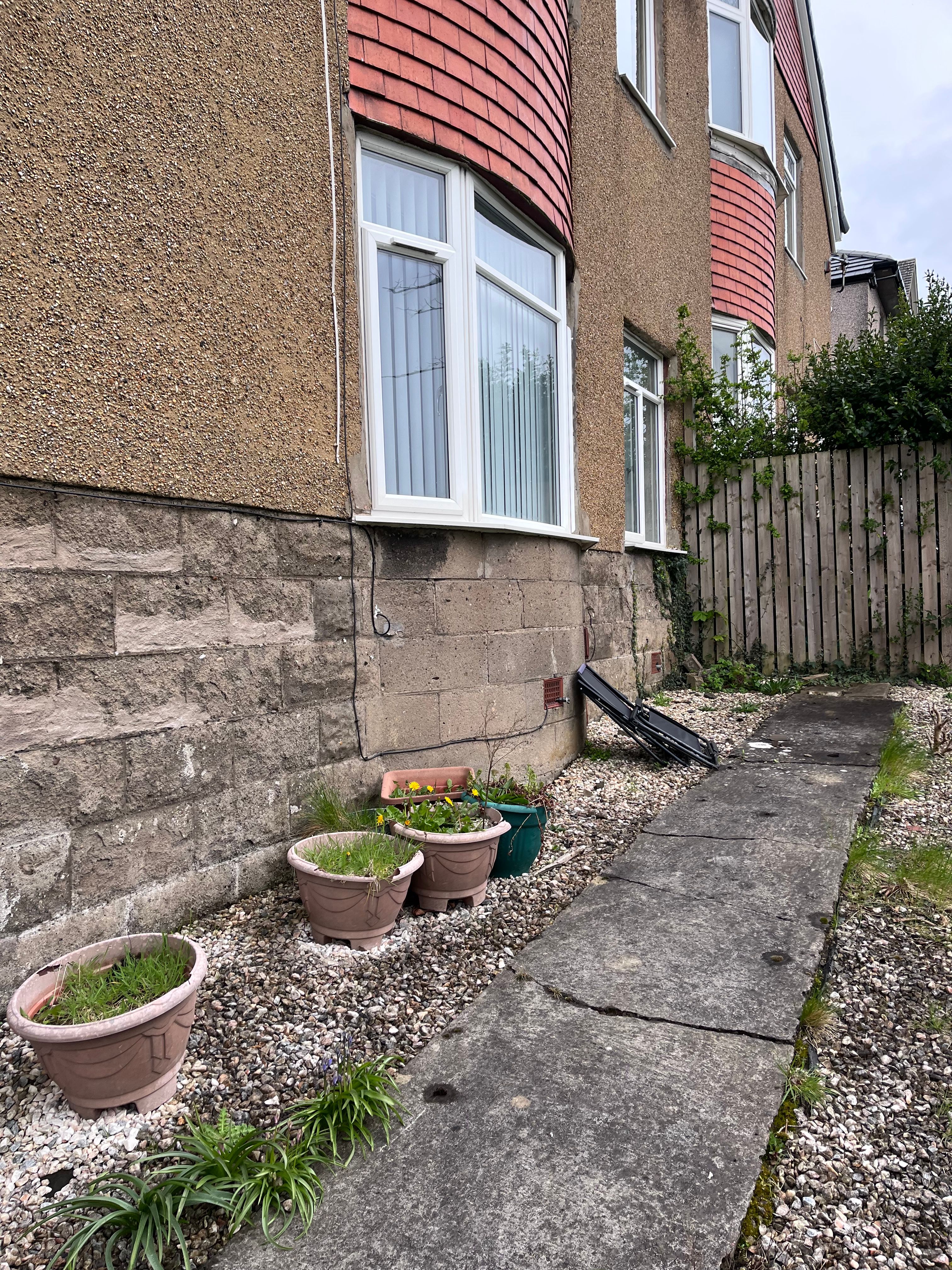 image-19