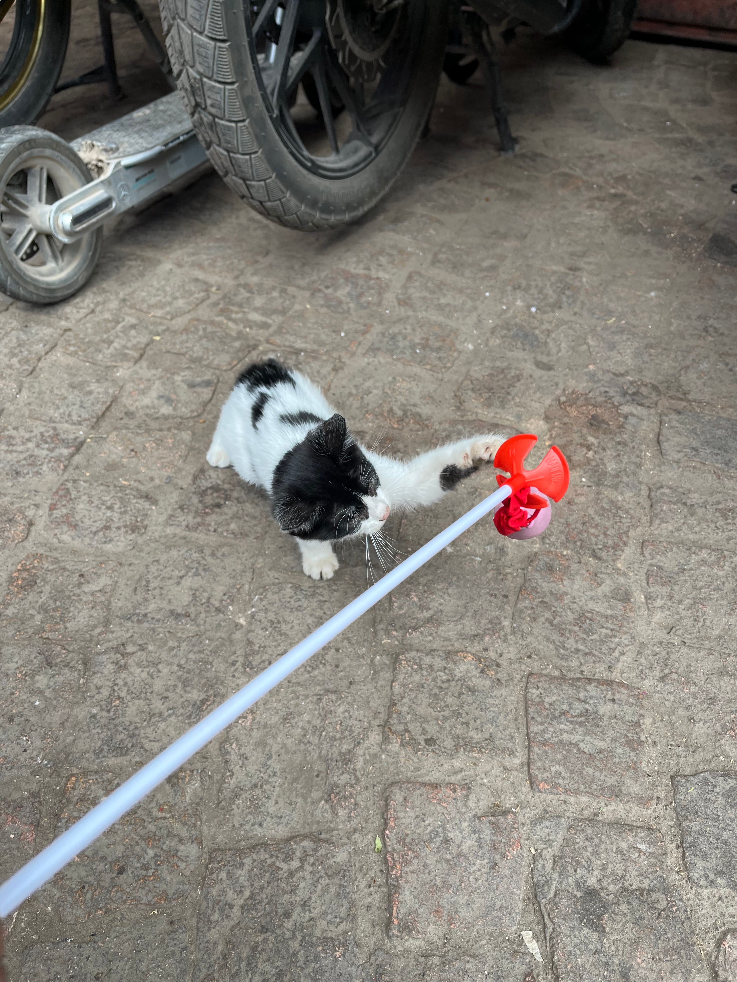 image-8