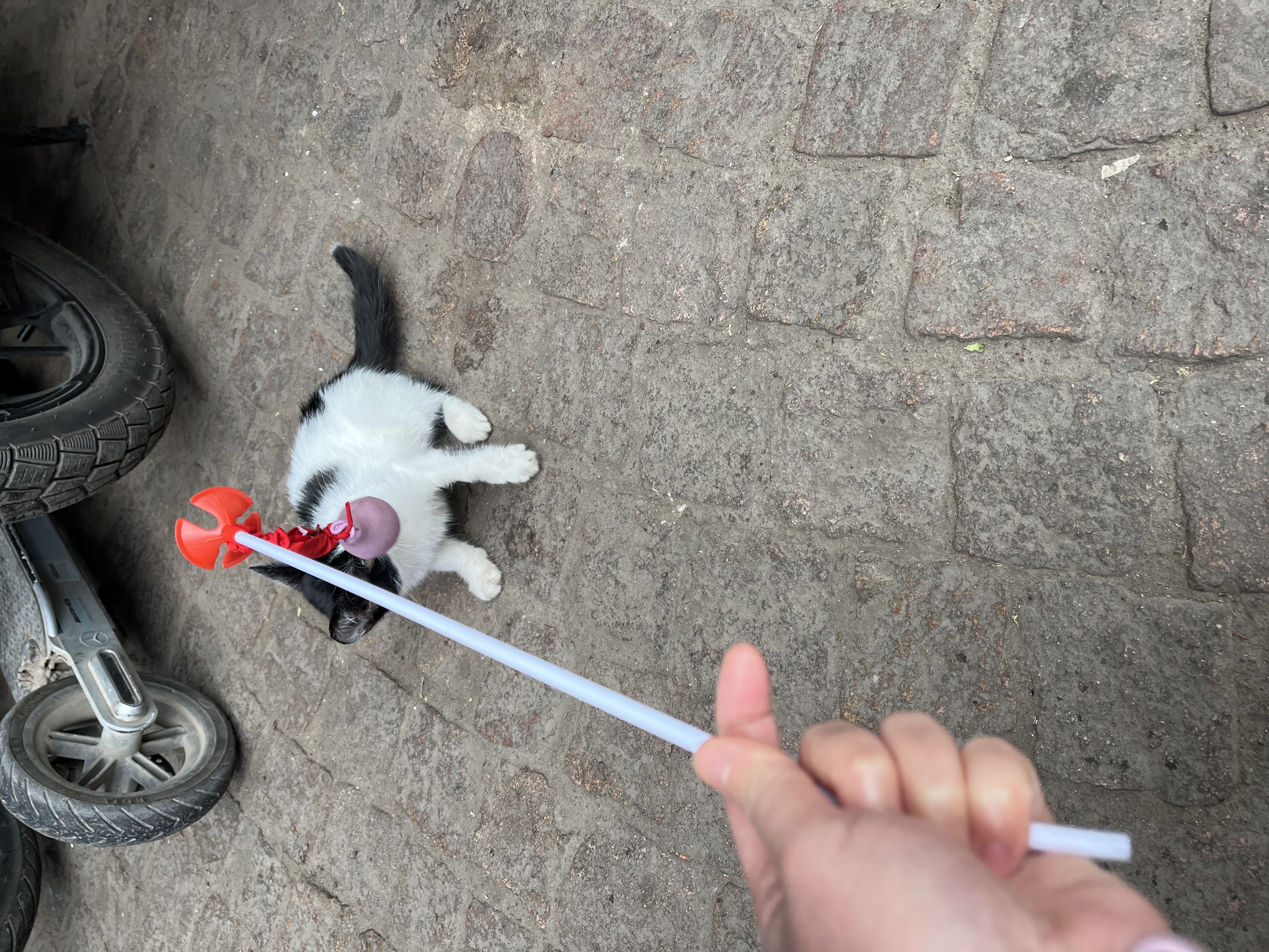 image-9
