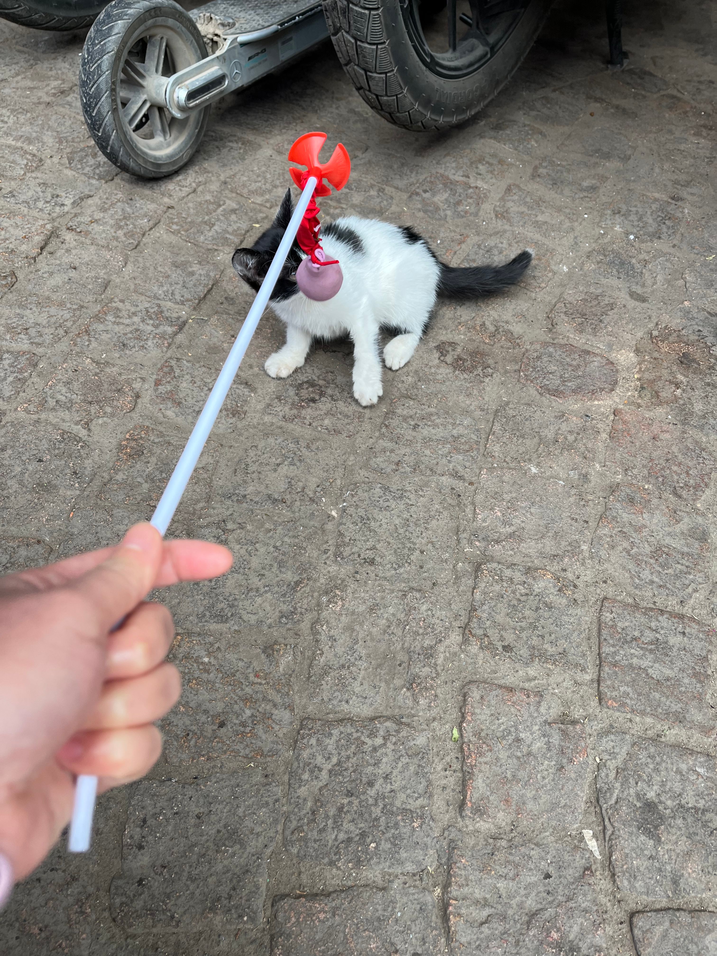 image-9