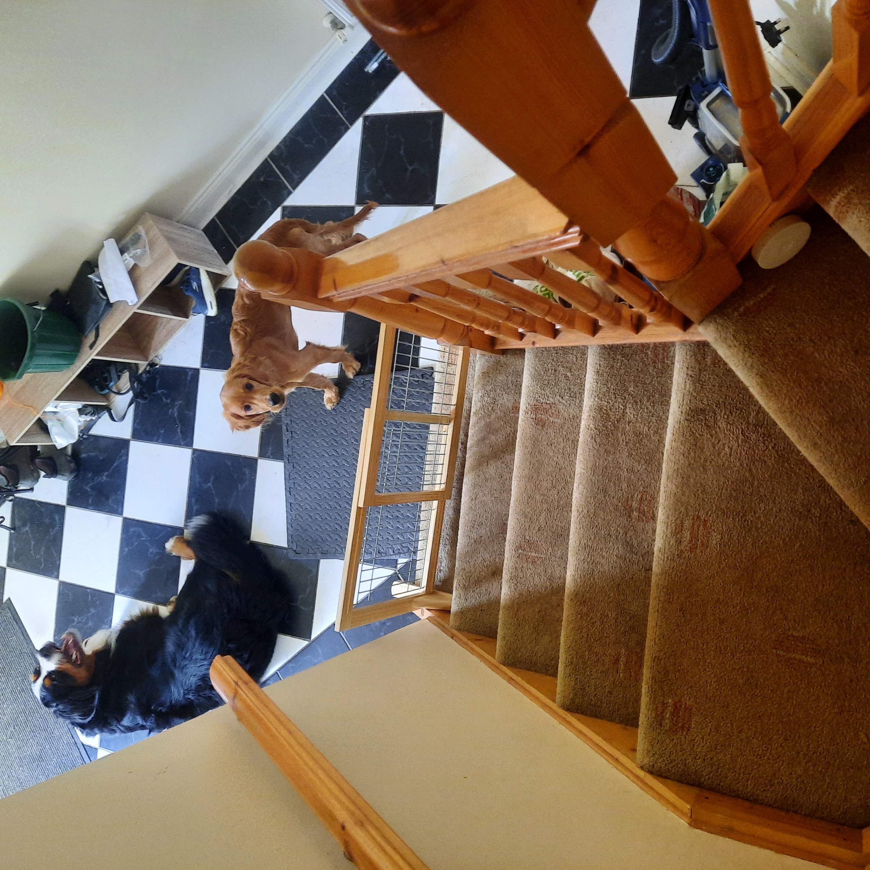 image-11