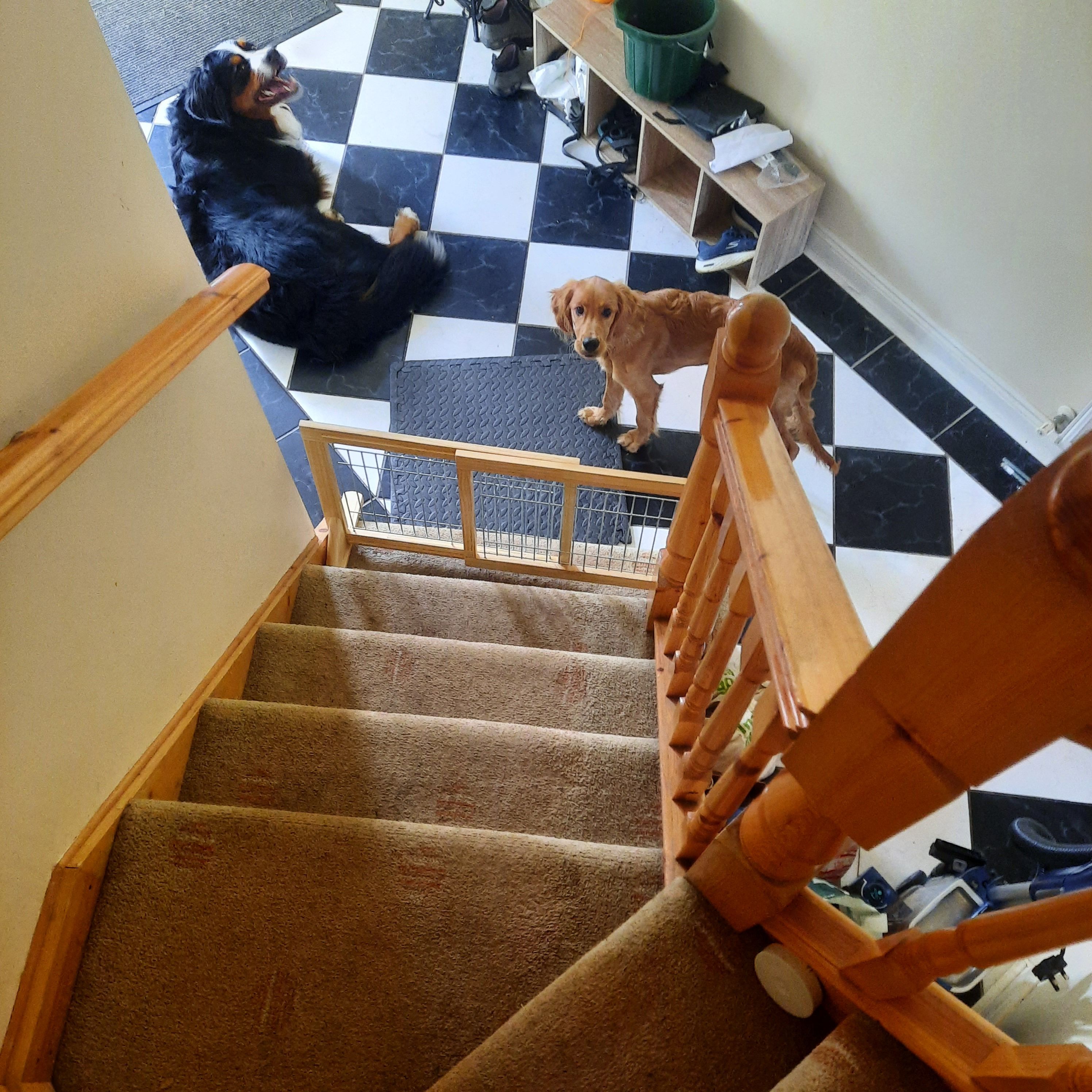 image-11