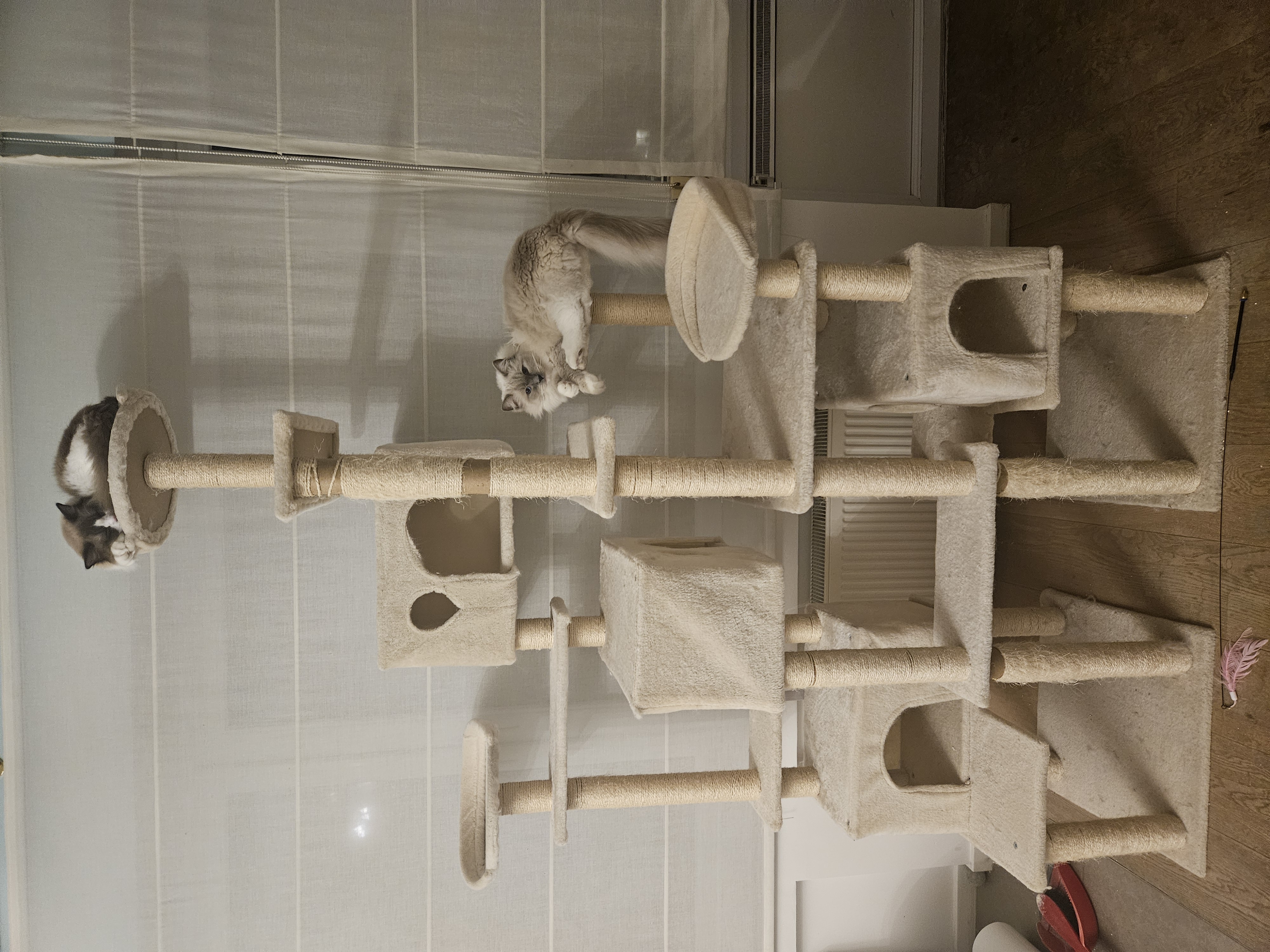 image-16