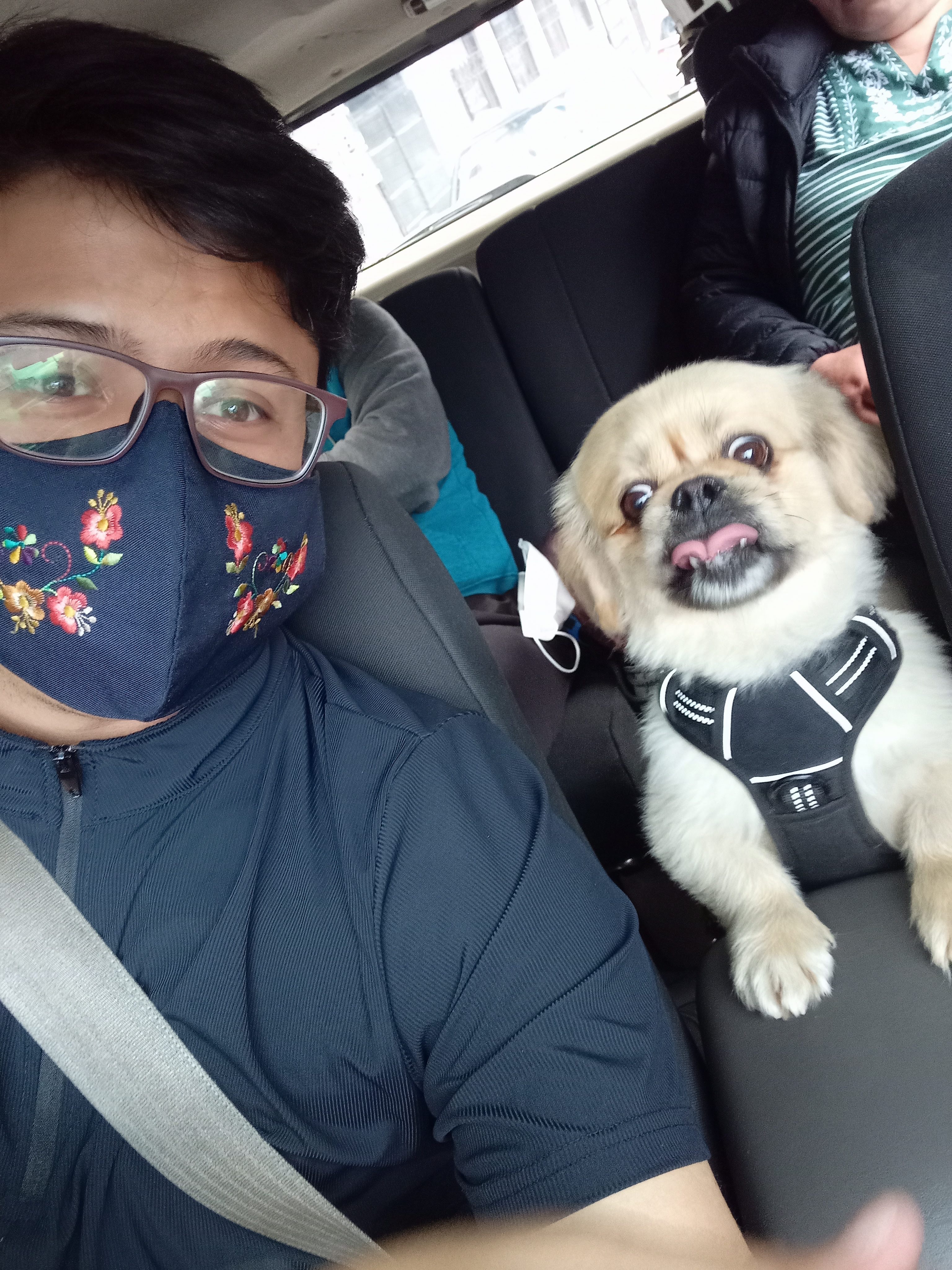 image-3