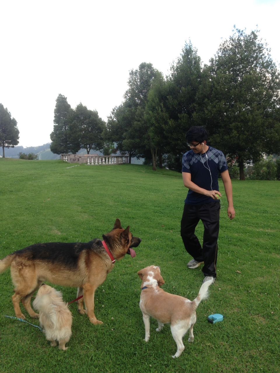 image-5
