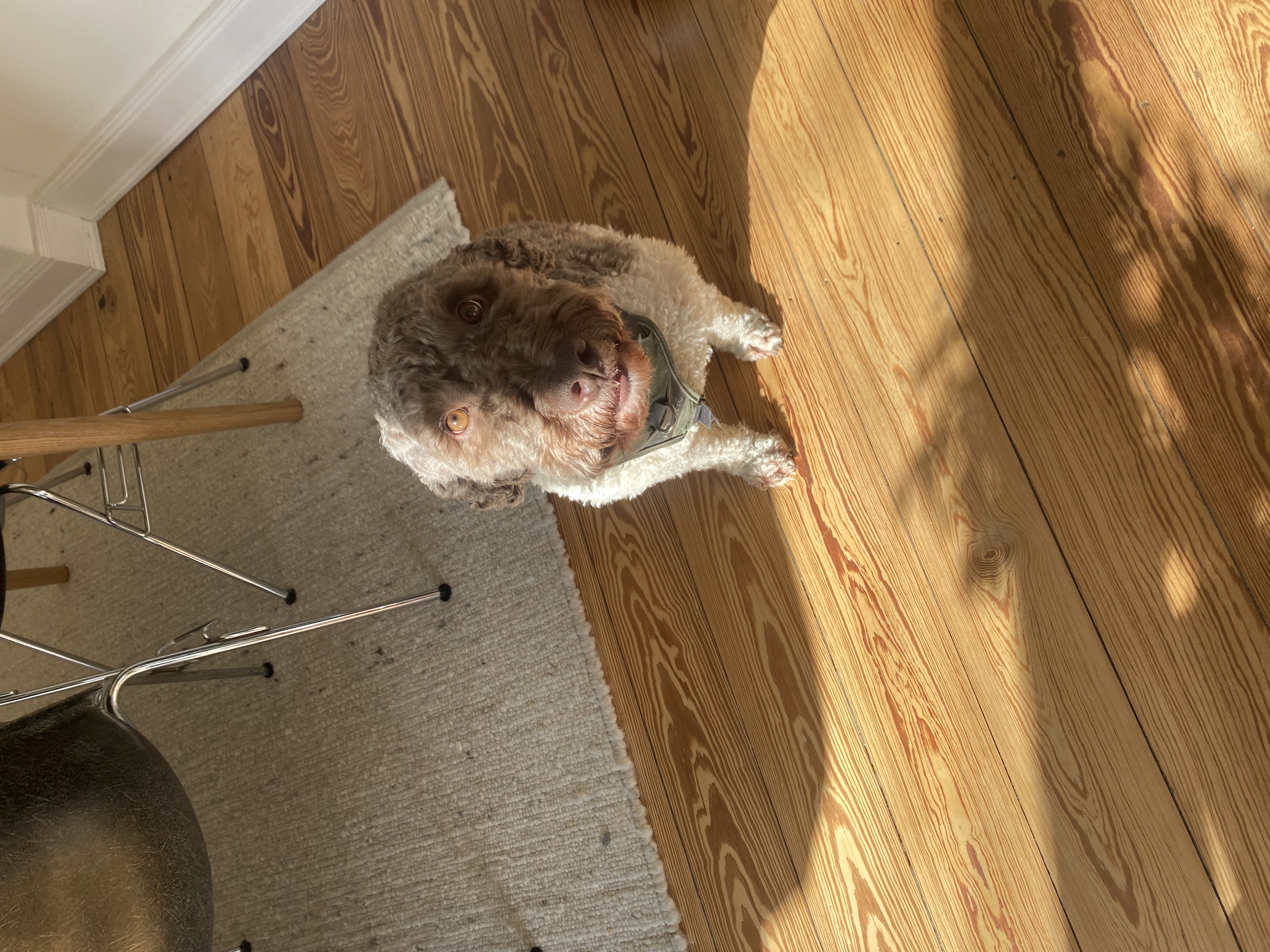 image-7
