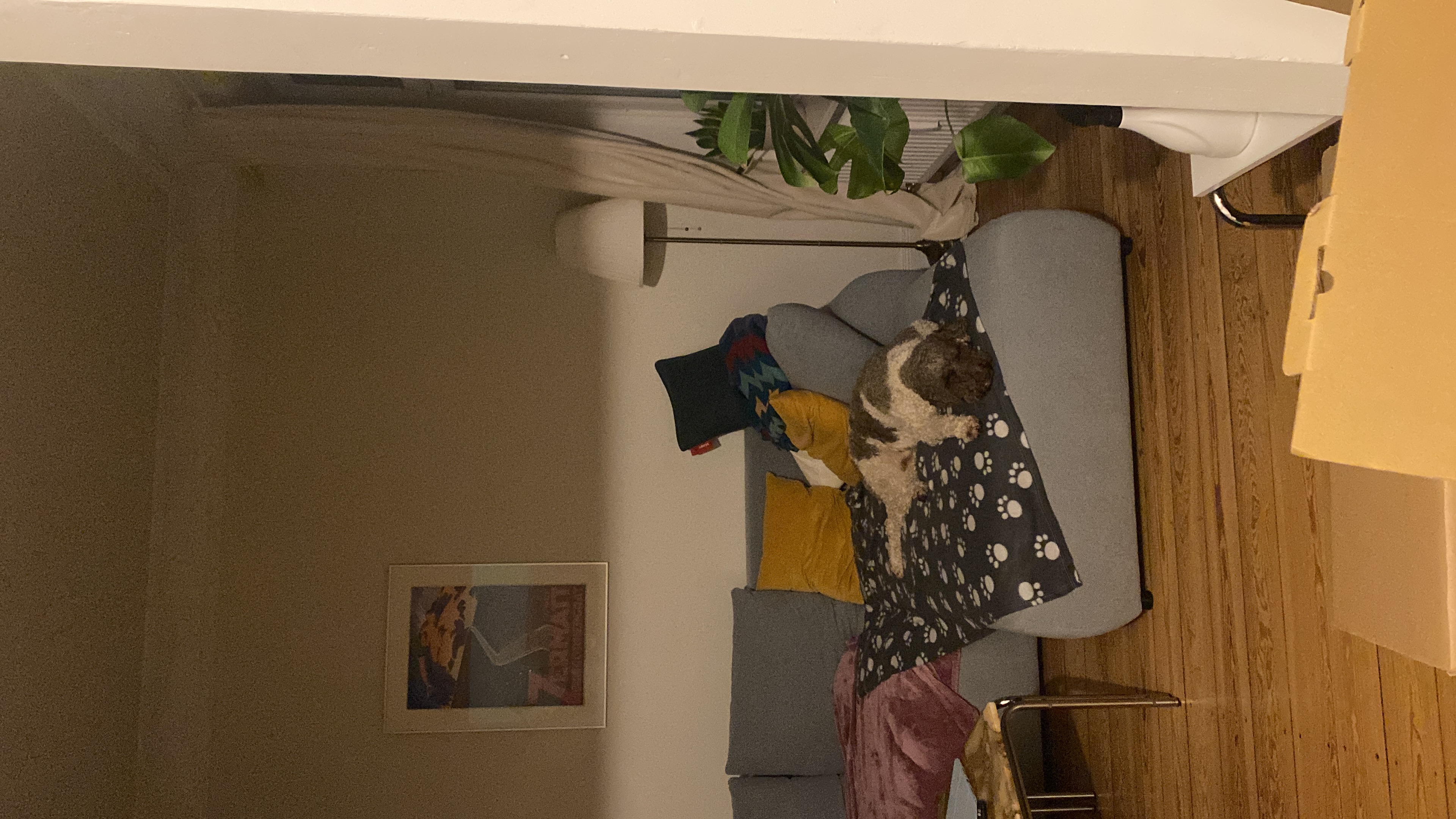 image-8