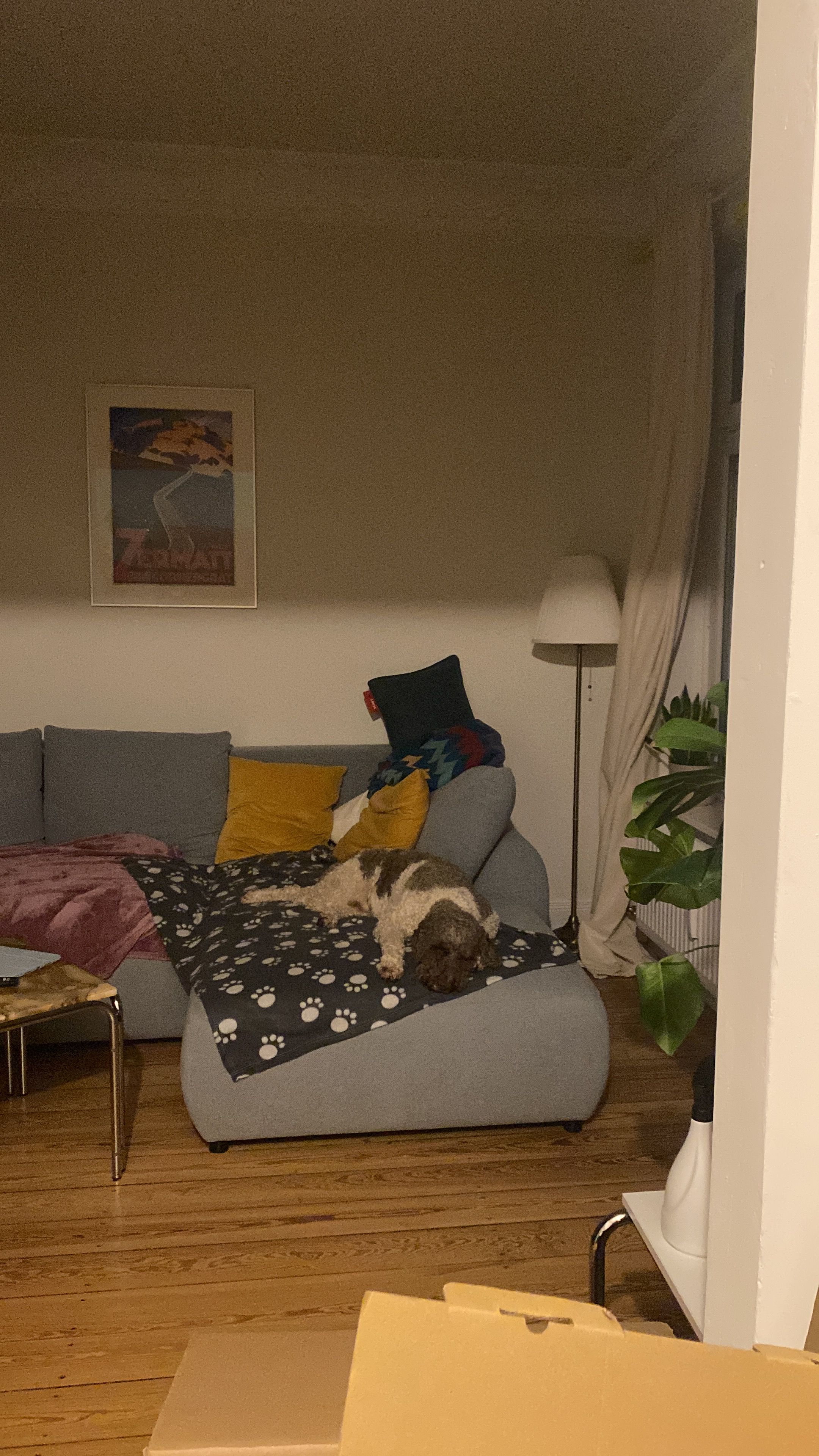 image-8