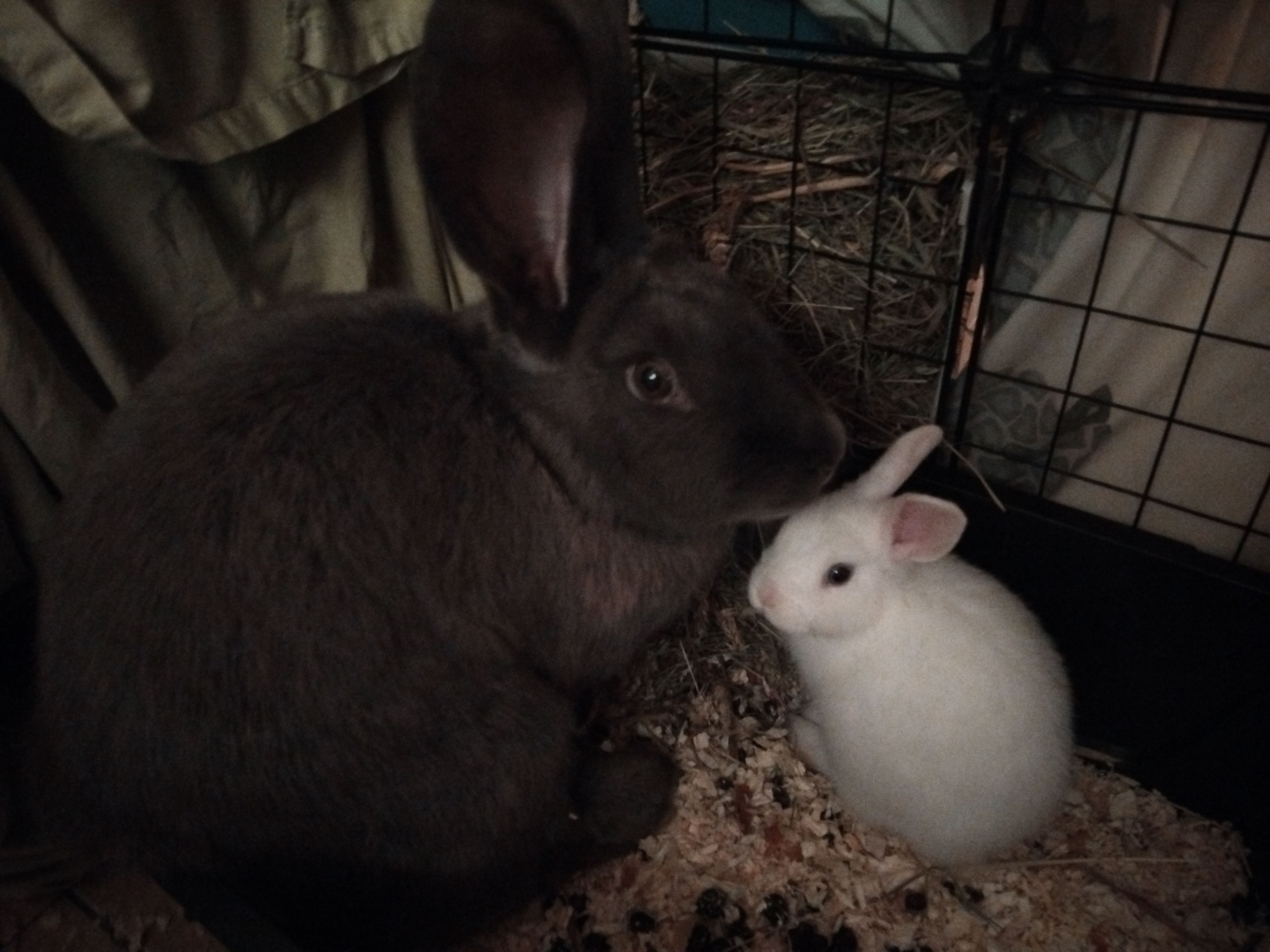 image-5