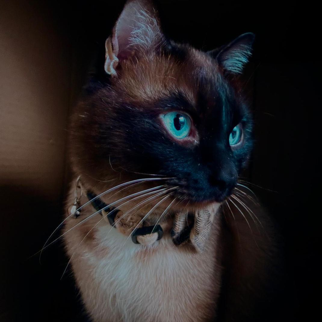 Pablo