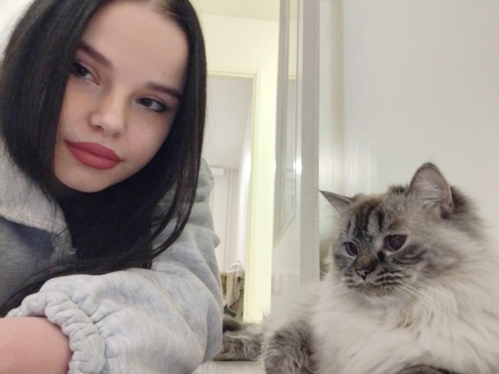 image-8