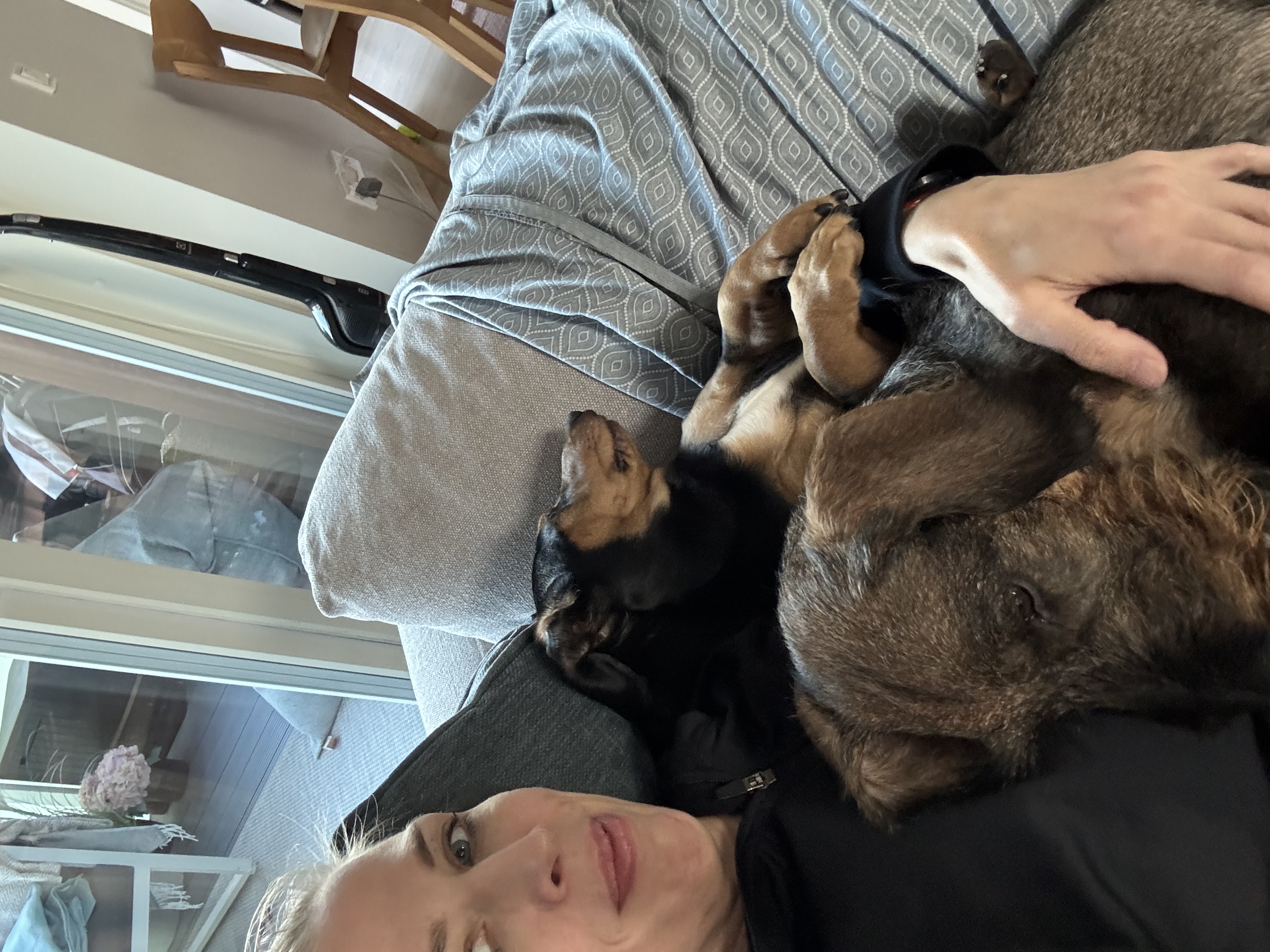 image-8
