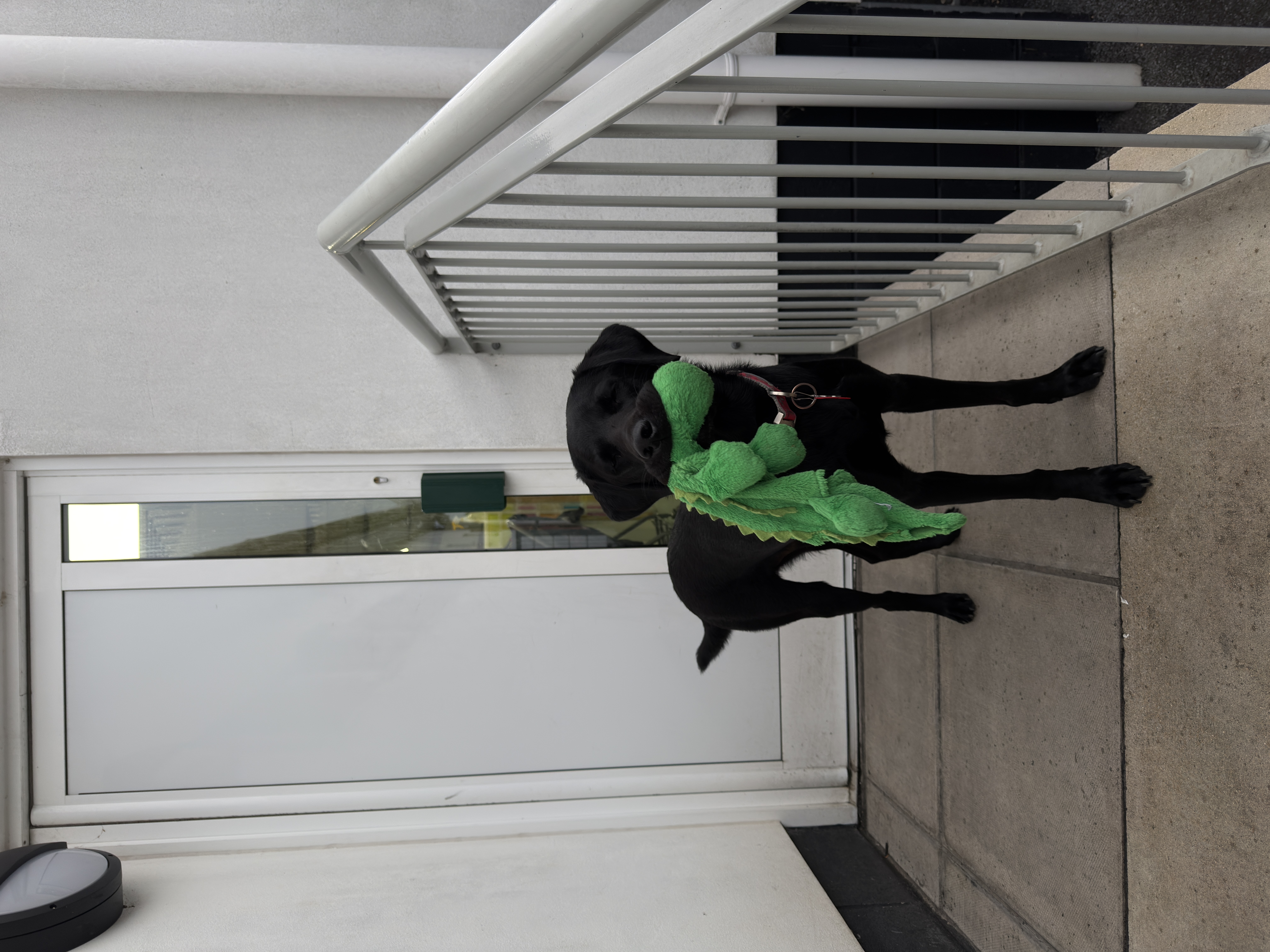 image-14