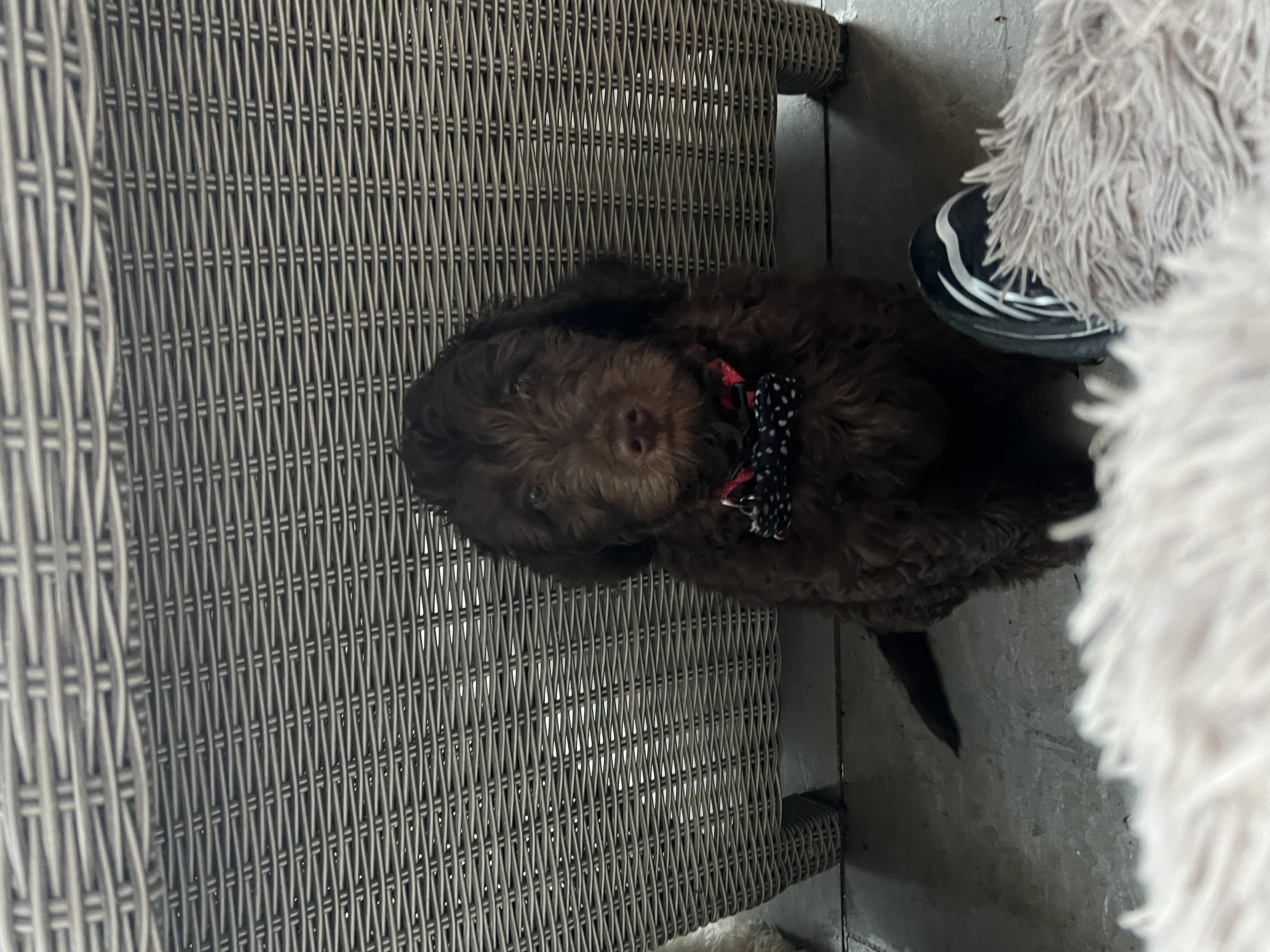 image-9