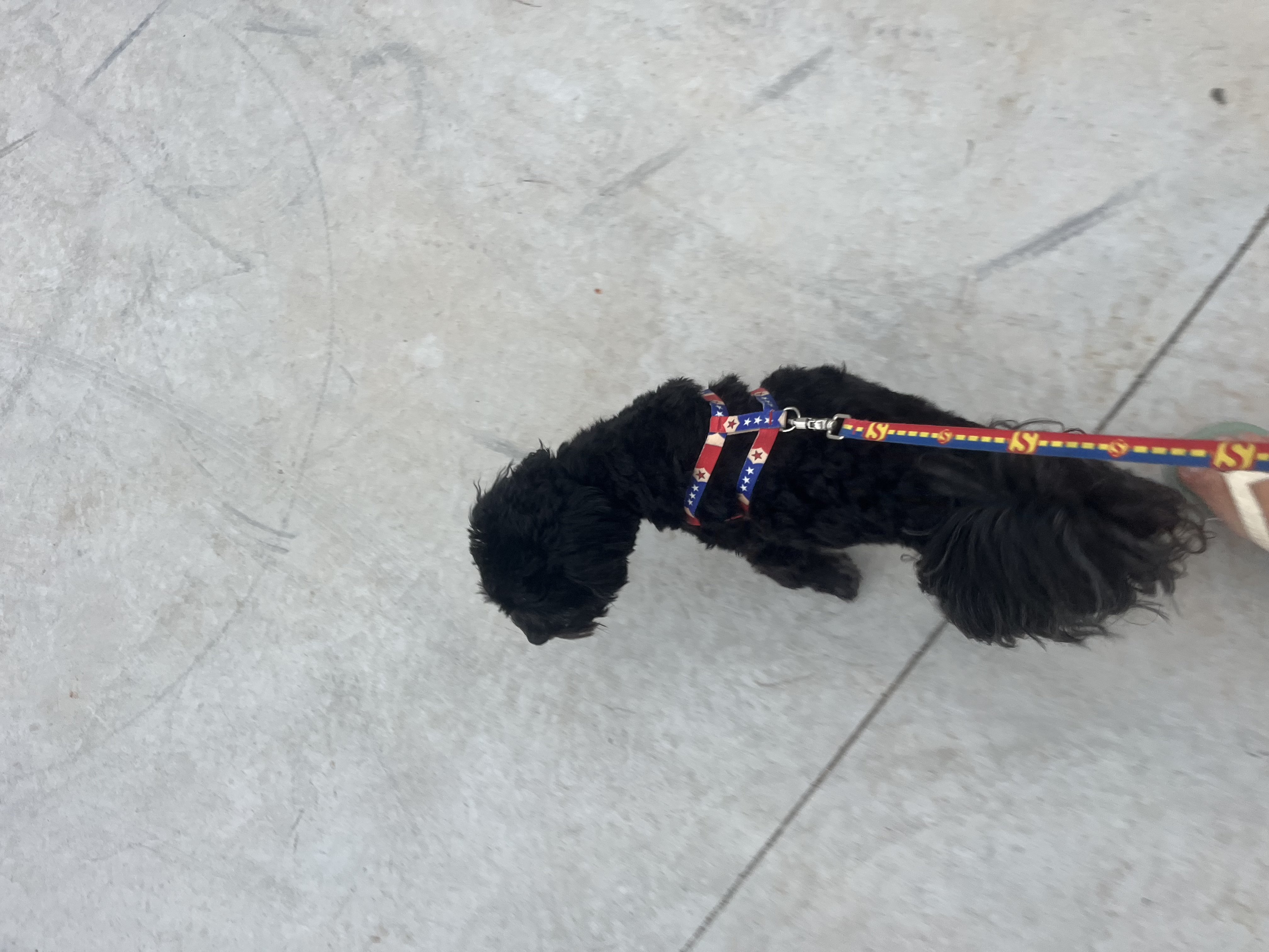 image-8