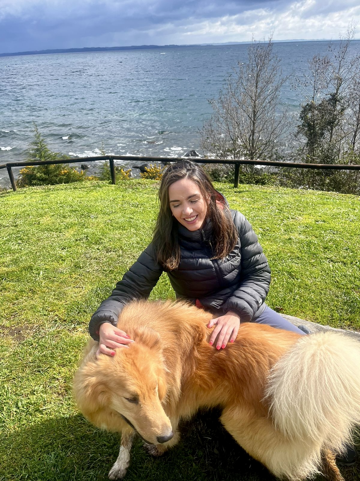 image-7