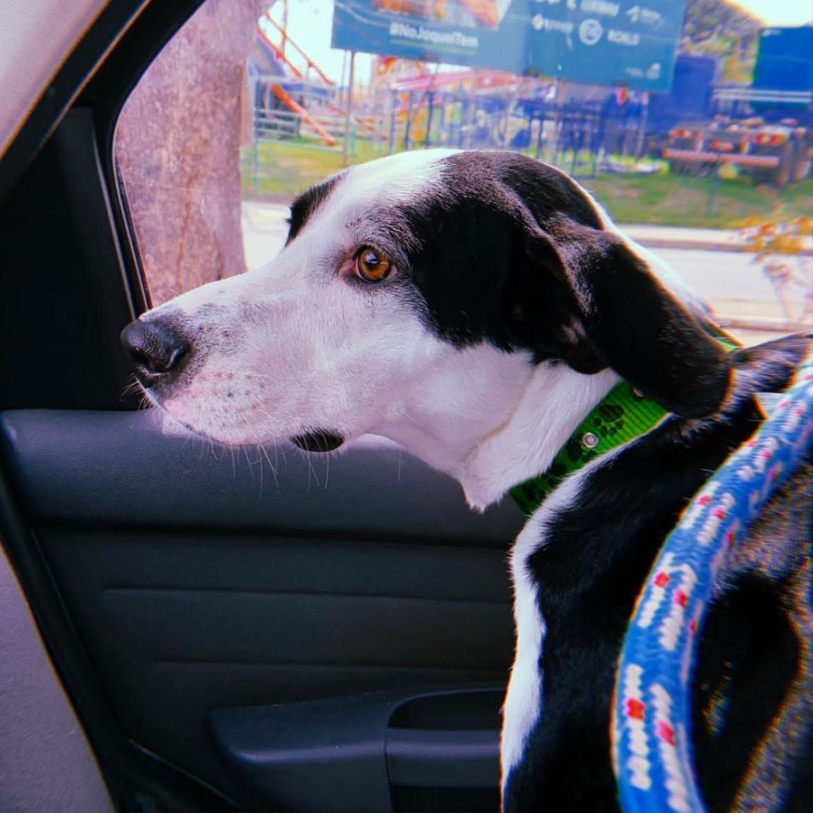Chico