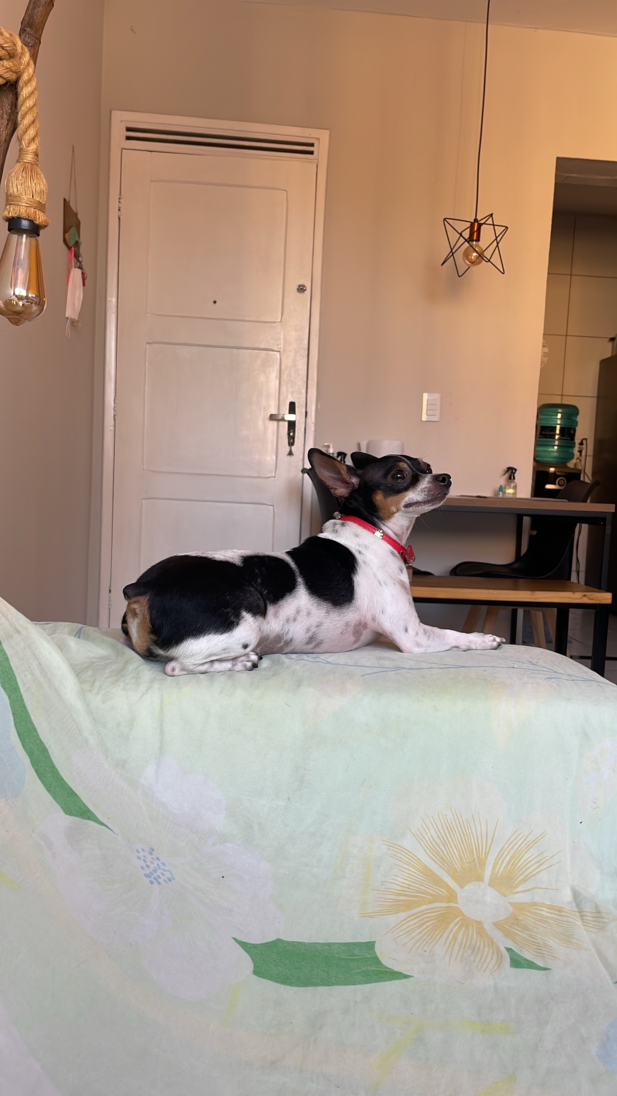 image-10