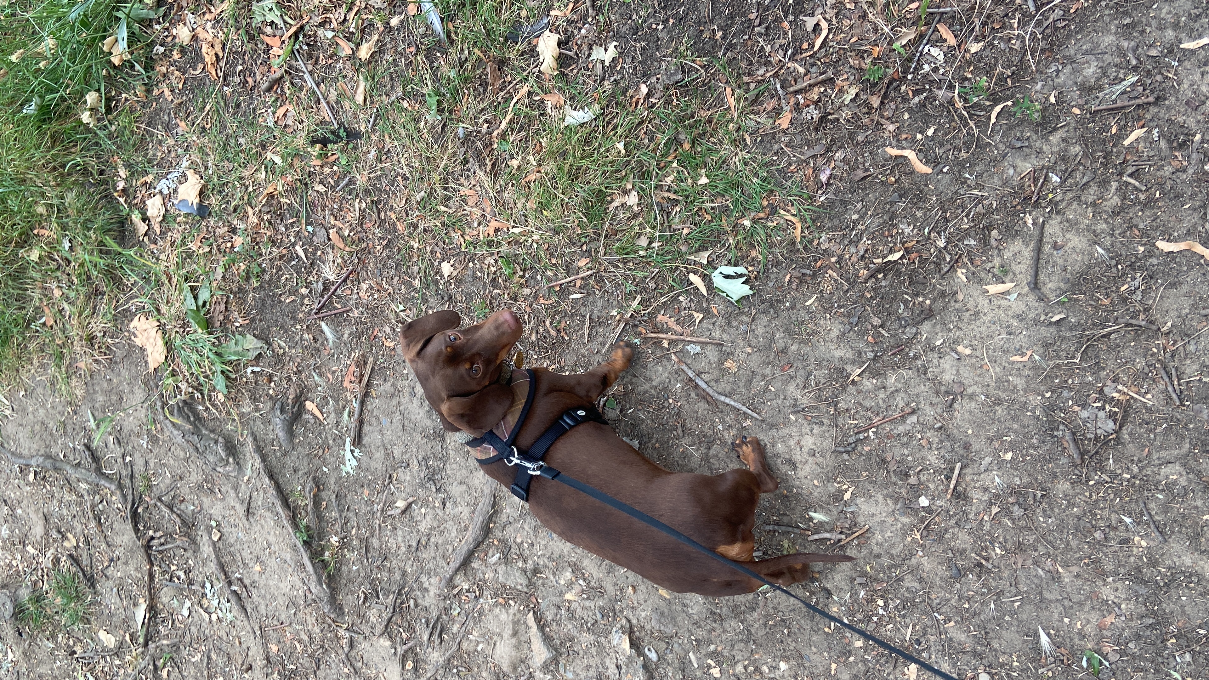 image-7