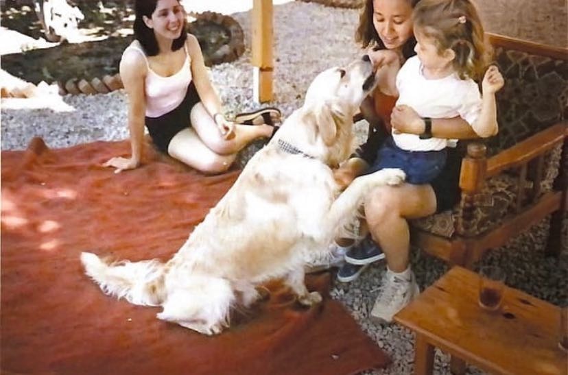 image-7