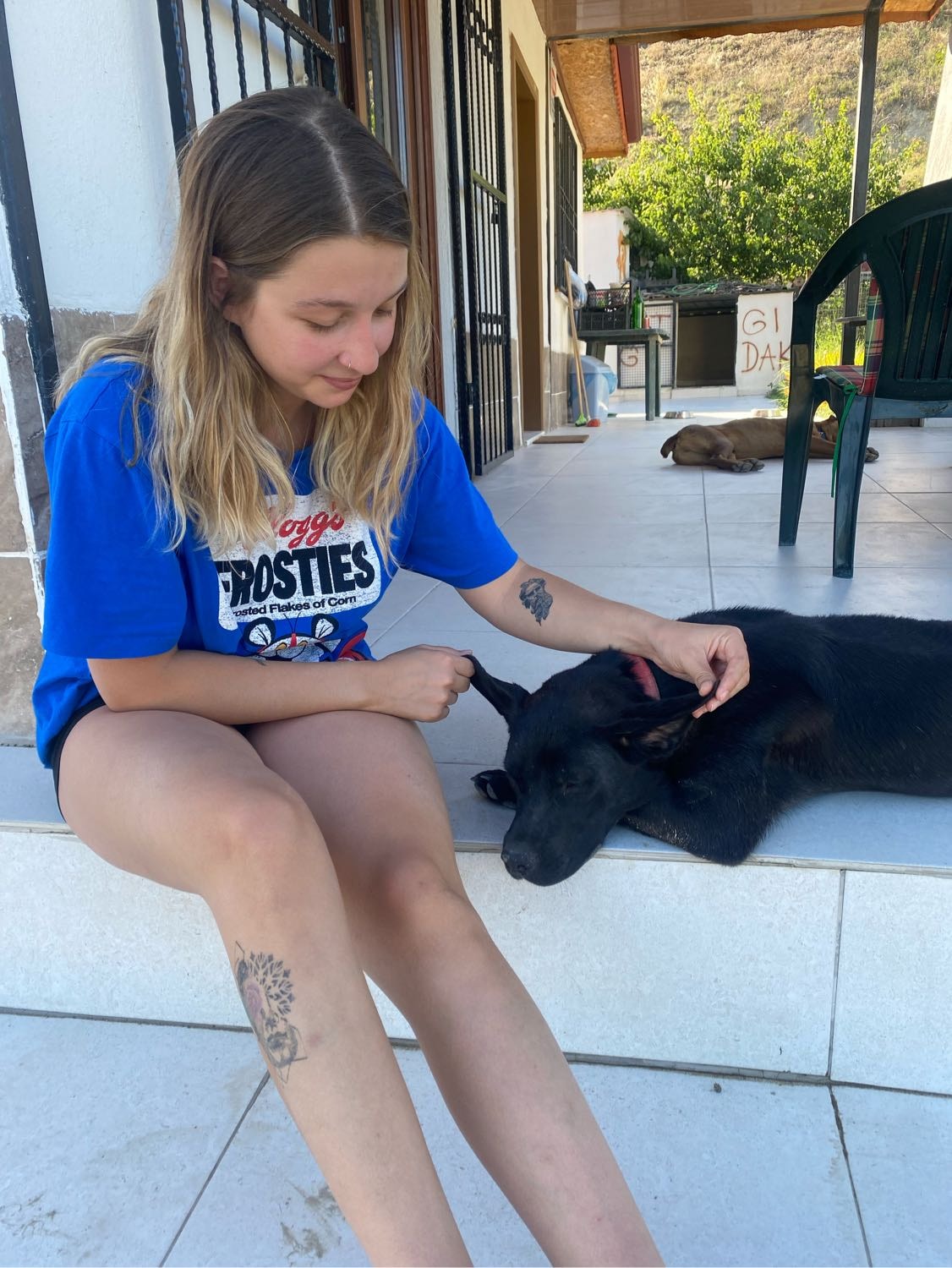 image-1