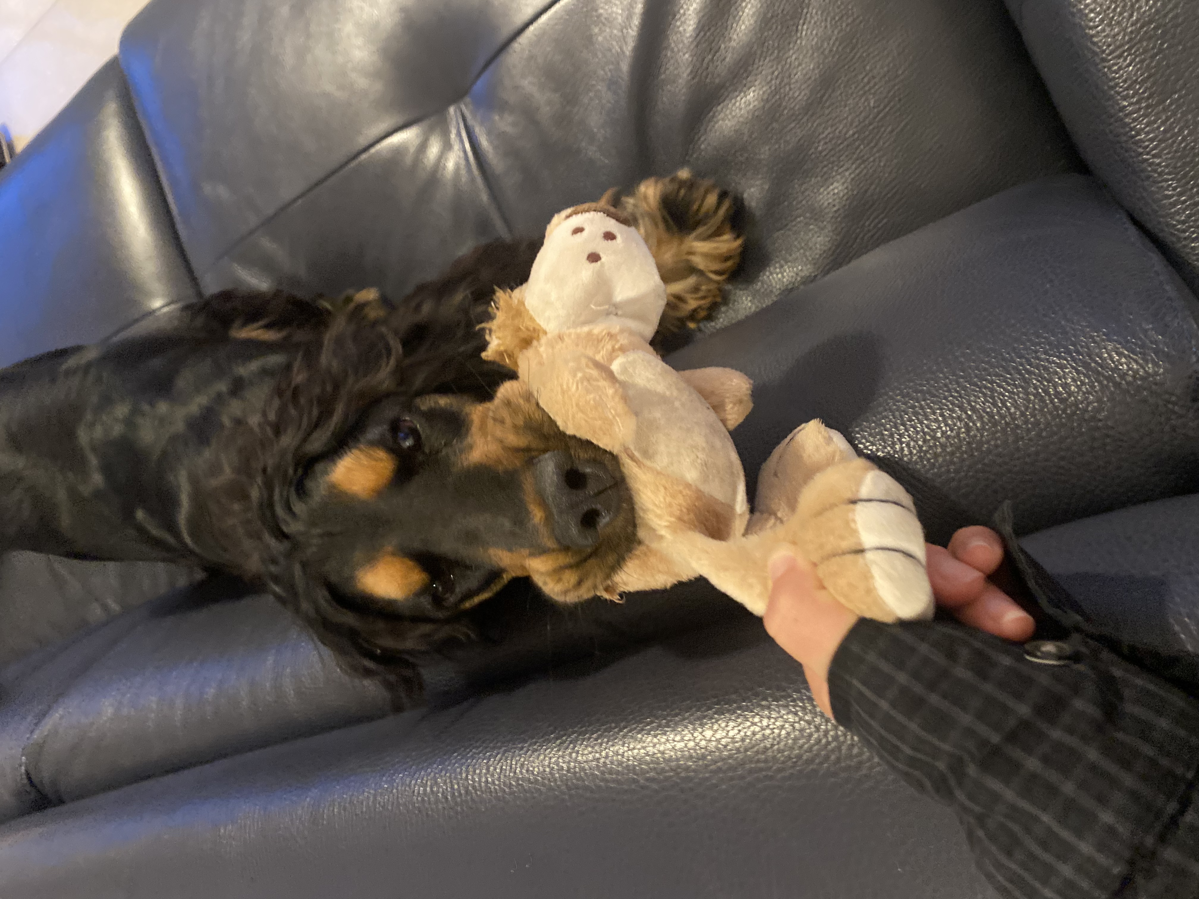 image-7