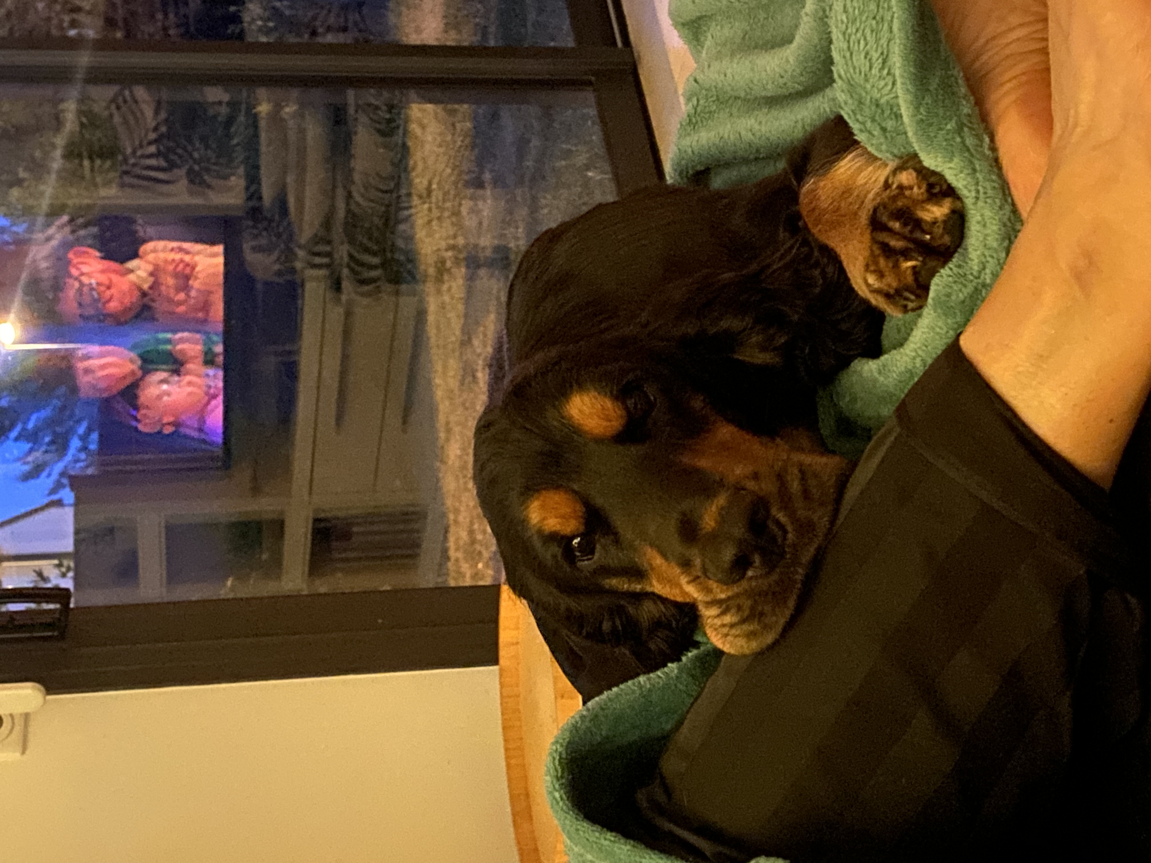 image-6