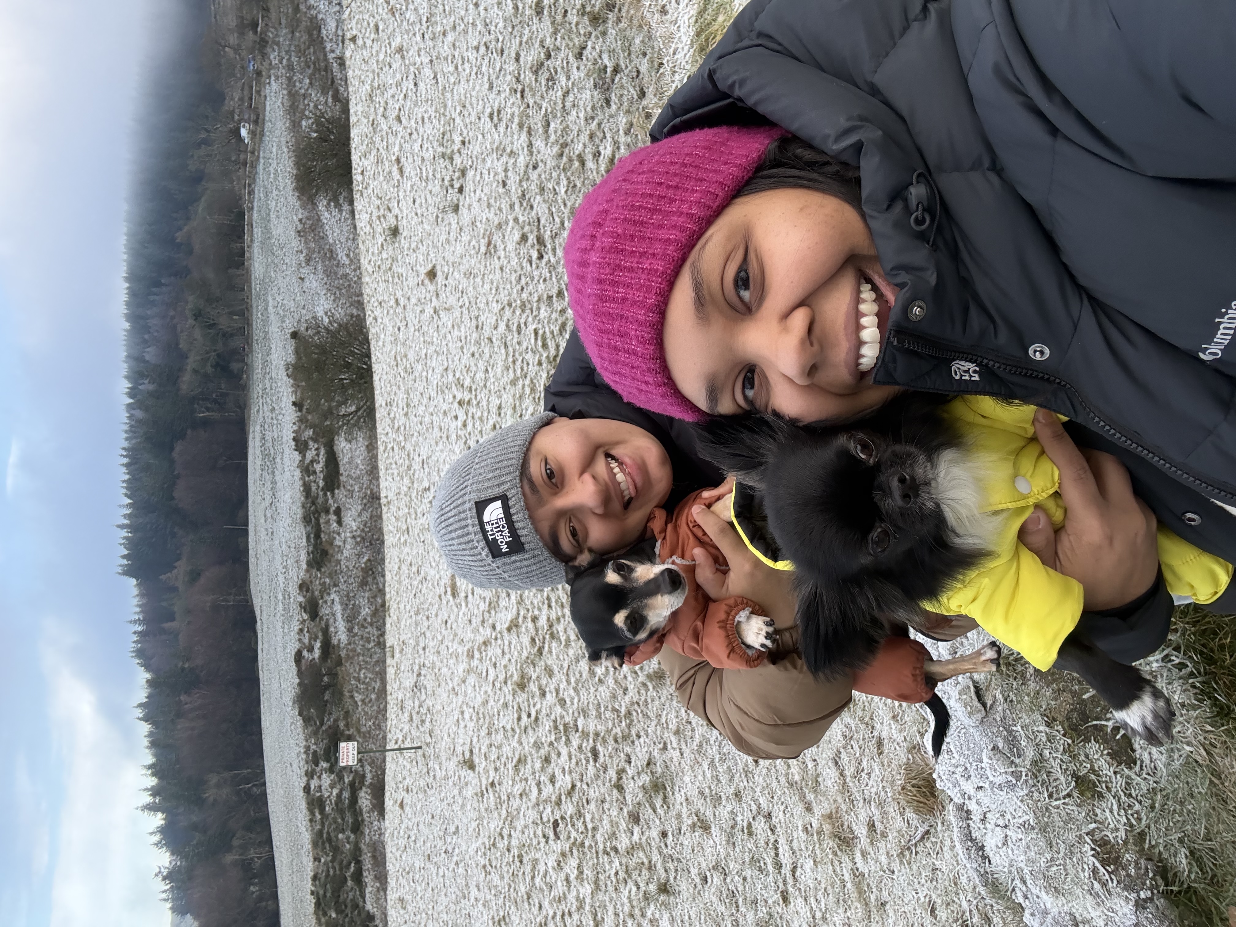 image-3