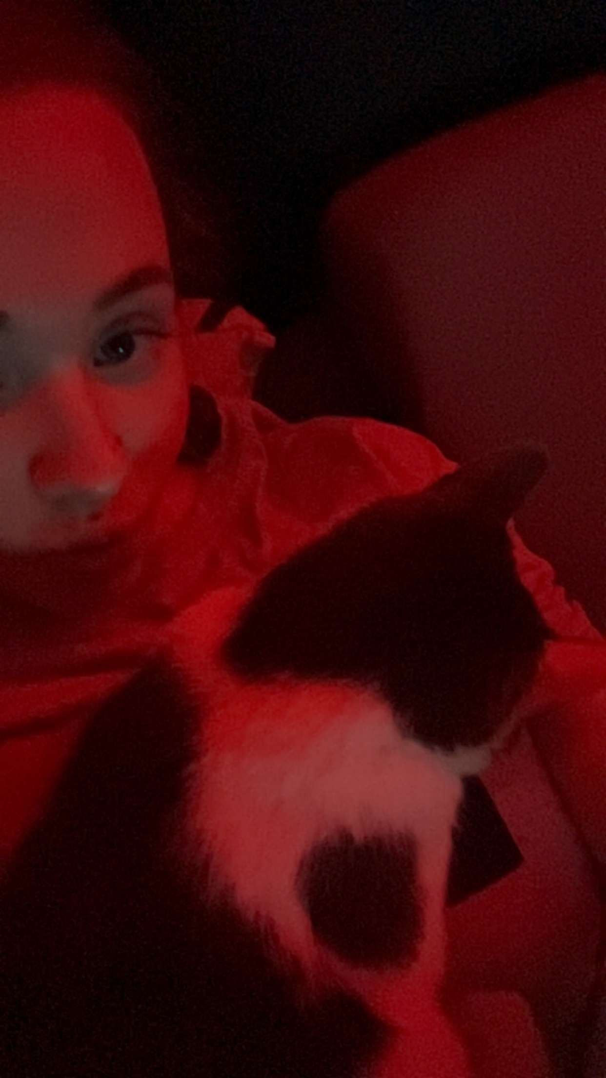 image-8