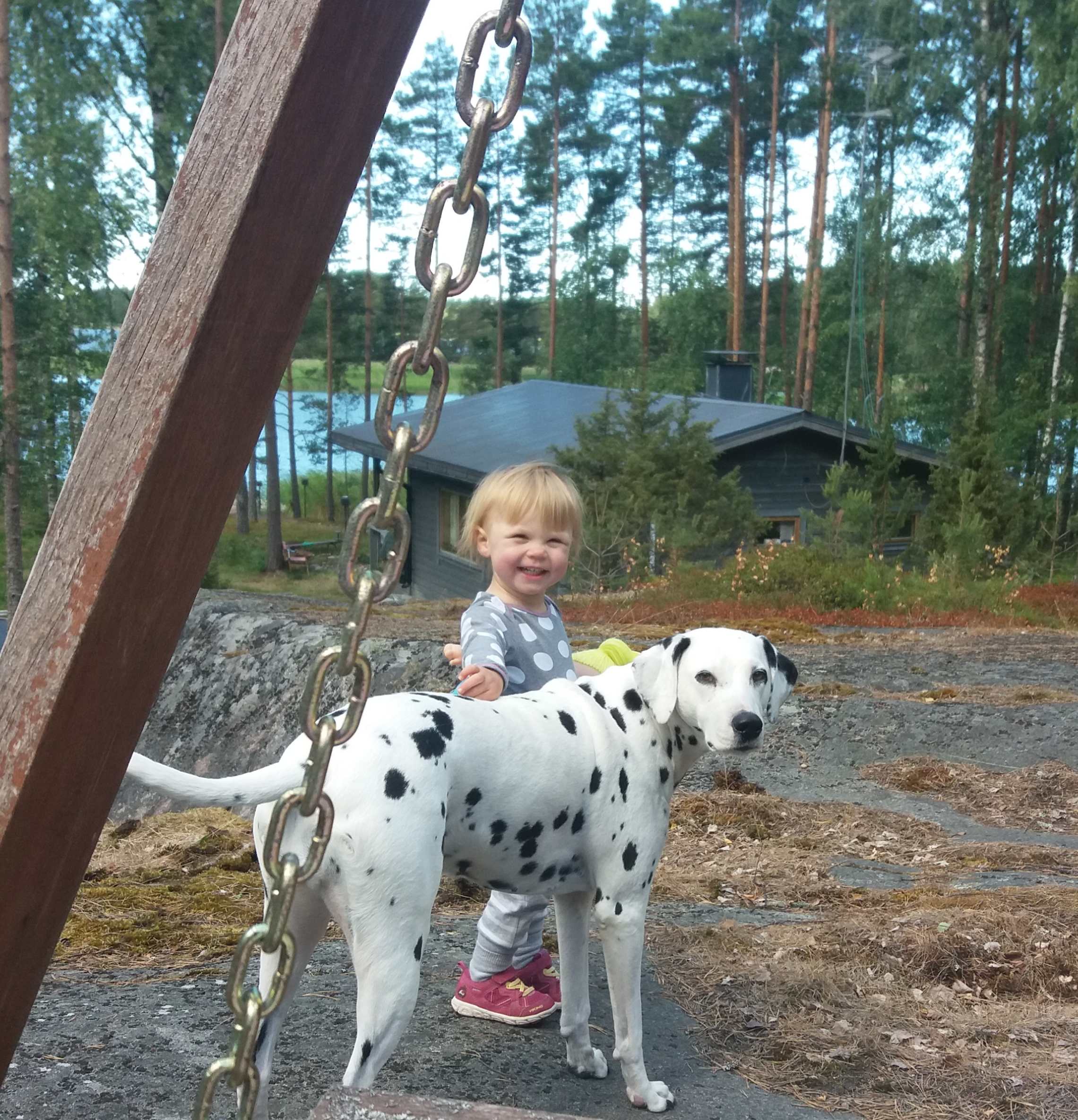 image-10