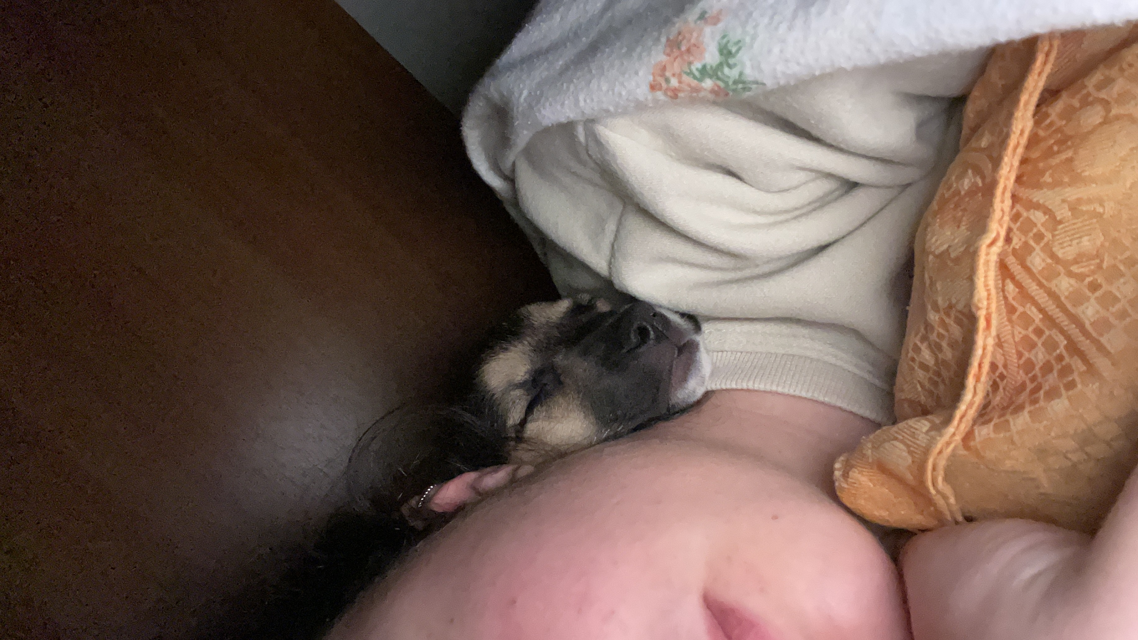 image-8