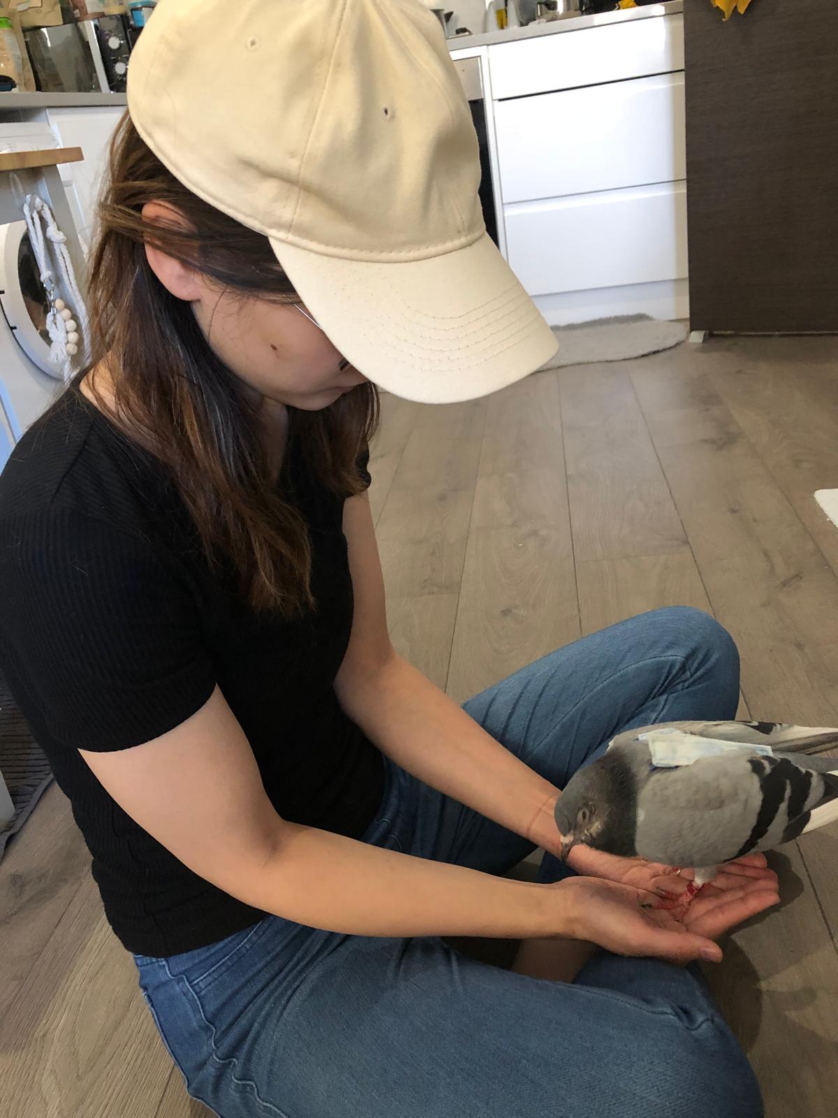 image-13