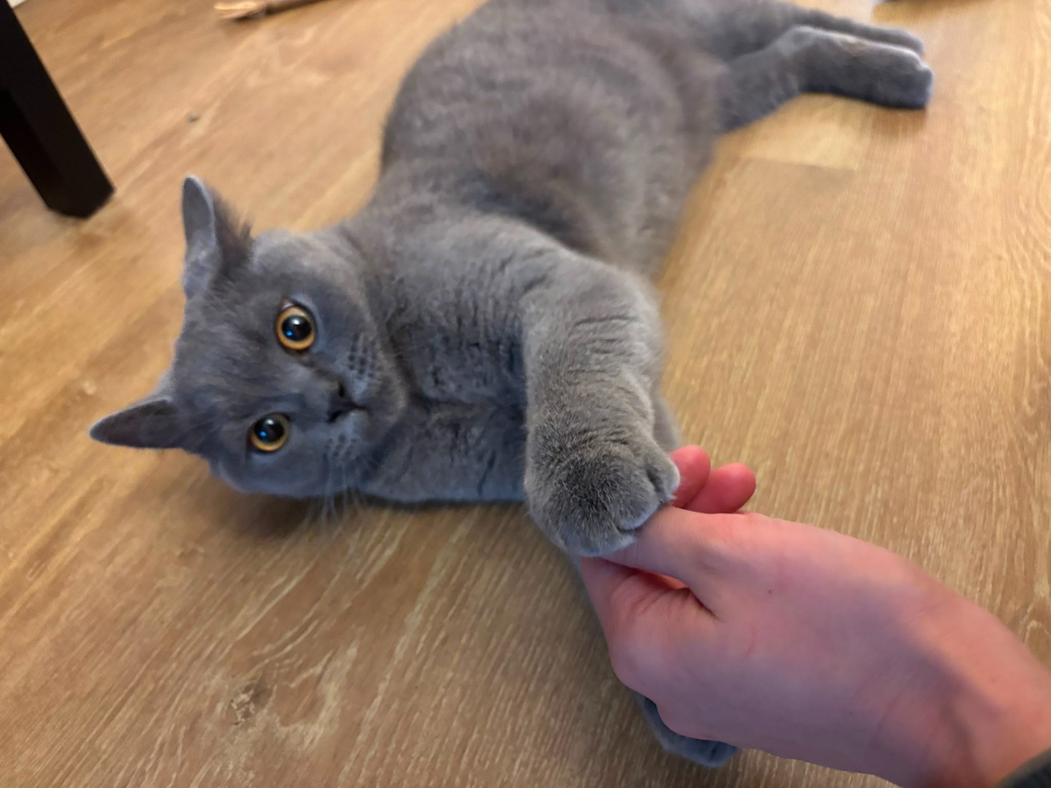 image-28