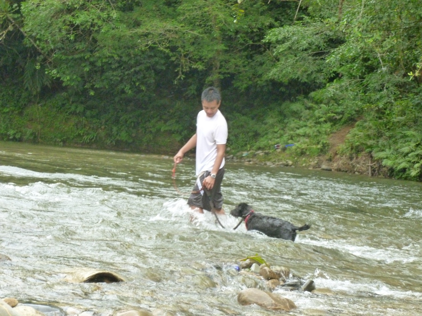 image-7