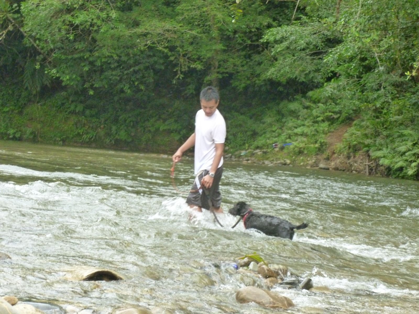 image-7