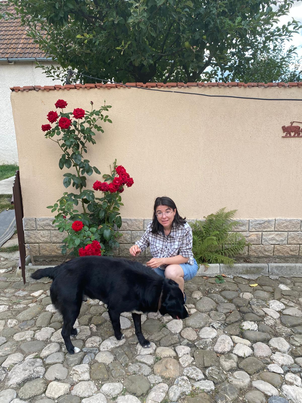 image-4