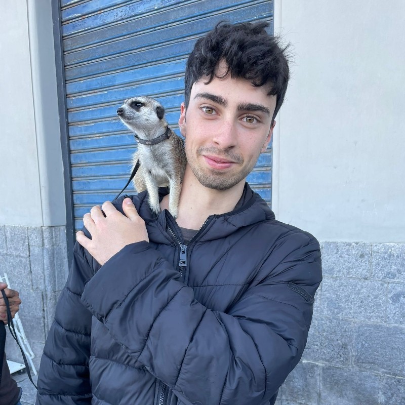 Dario