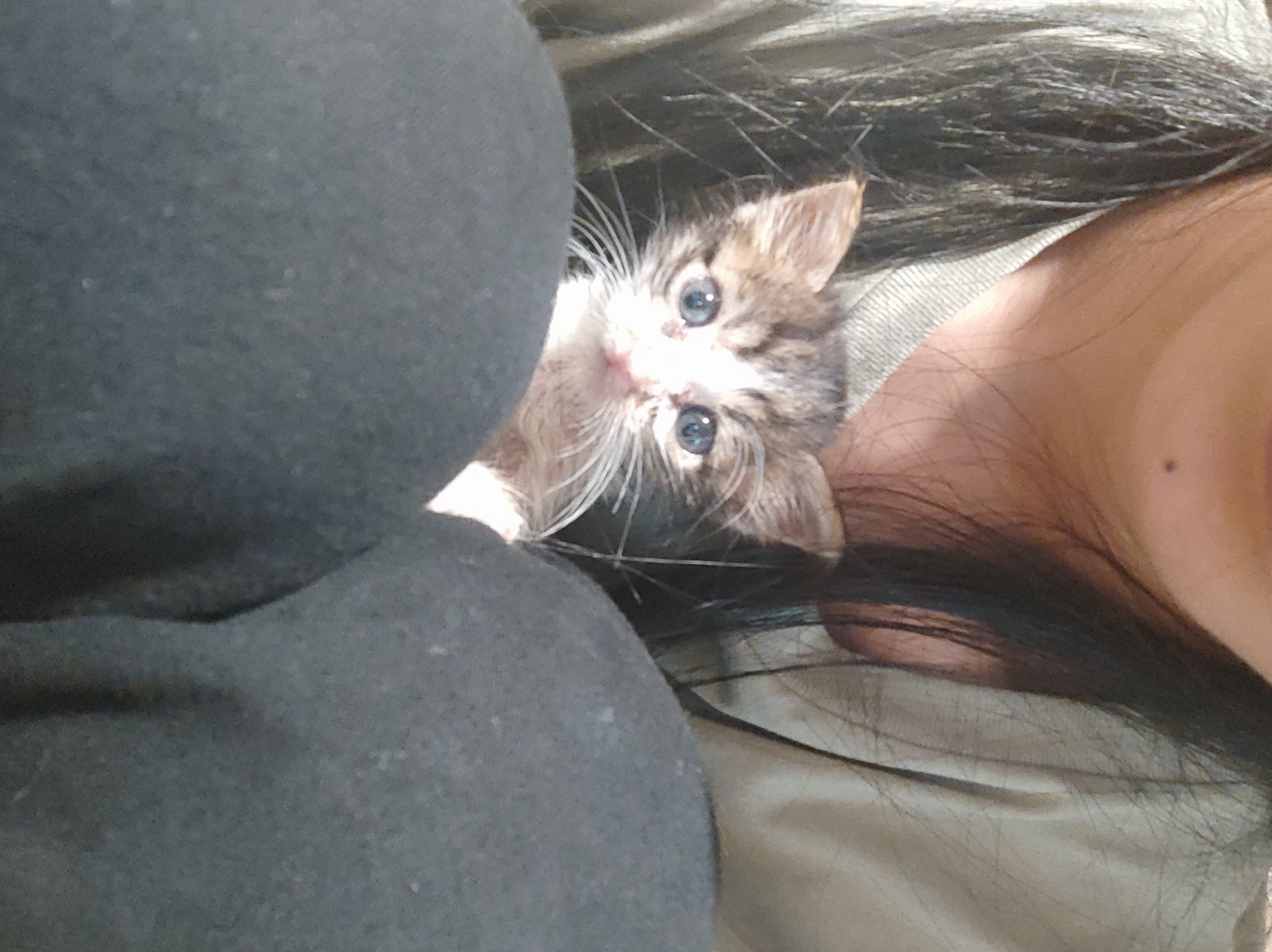 image-14