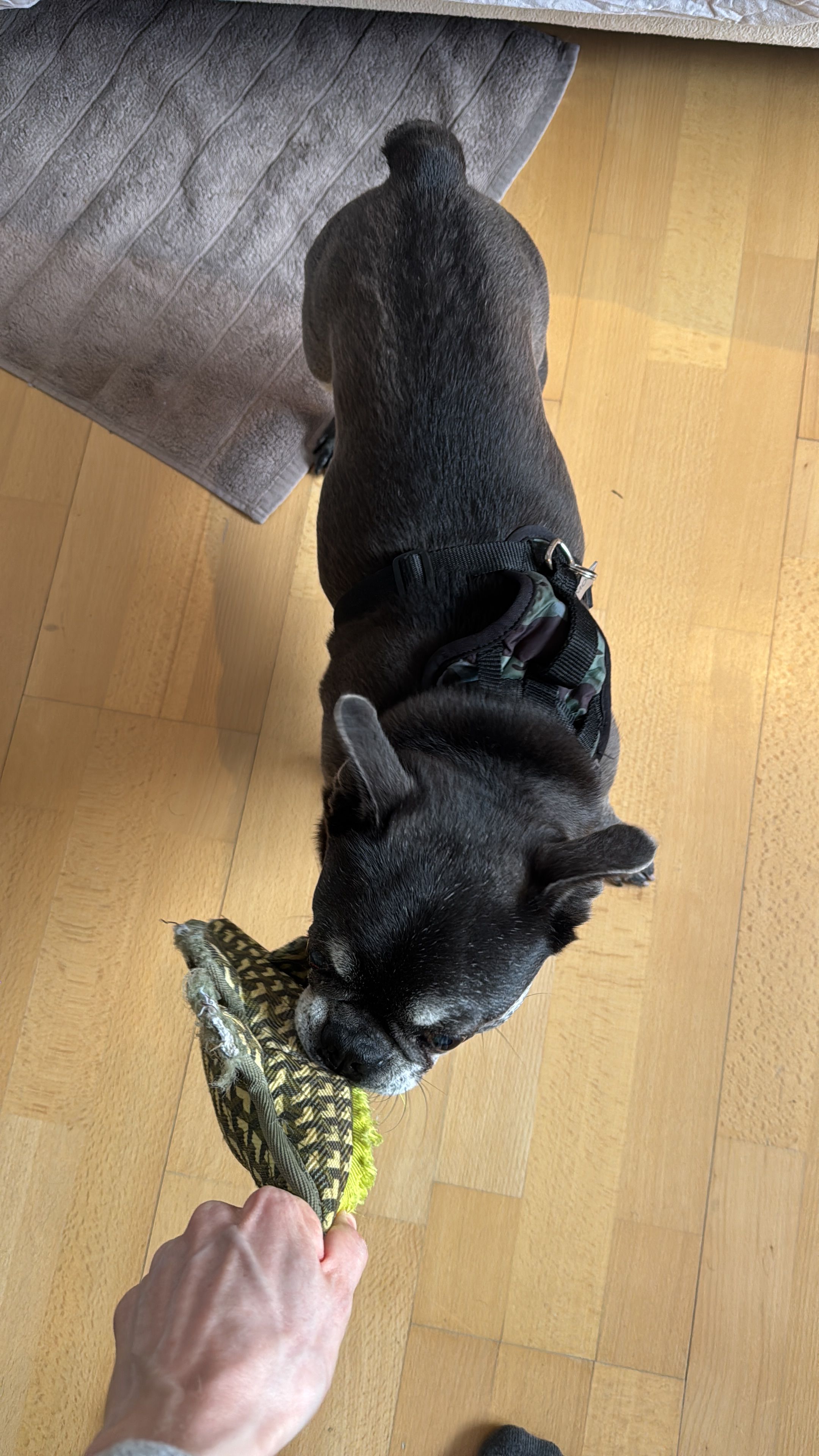 image-5