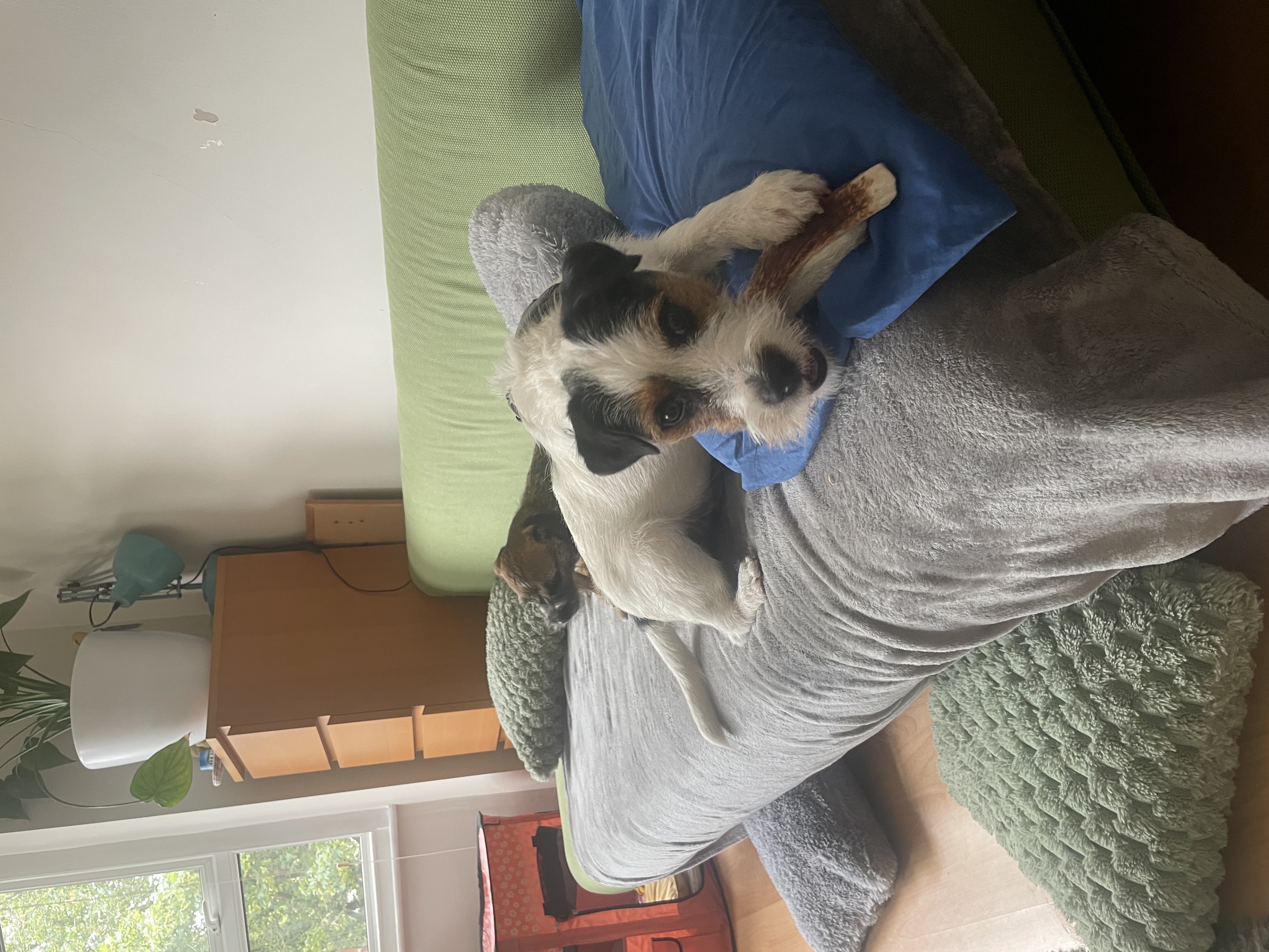 image-14