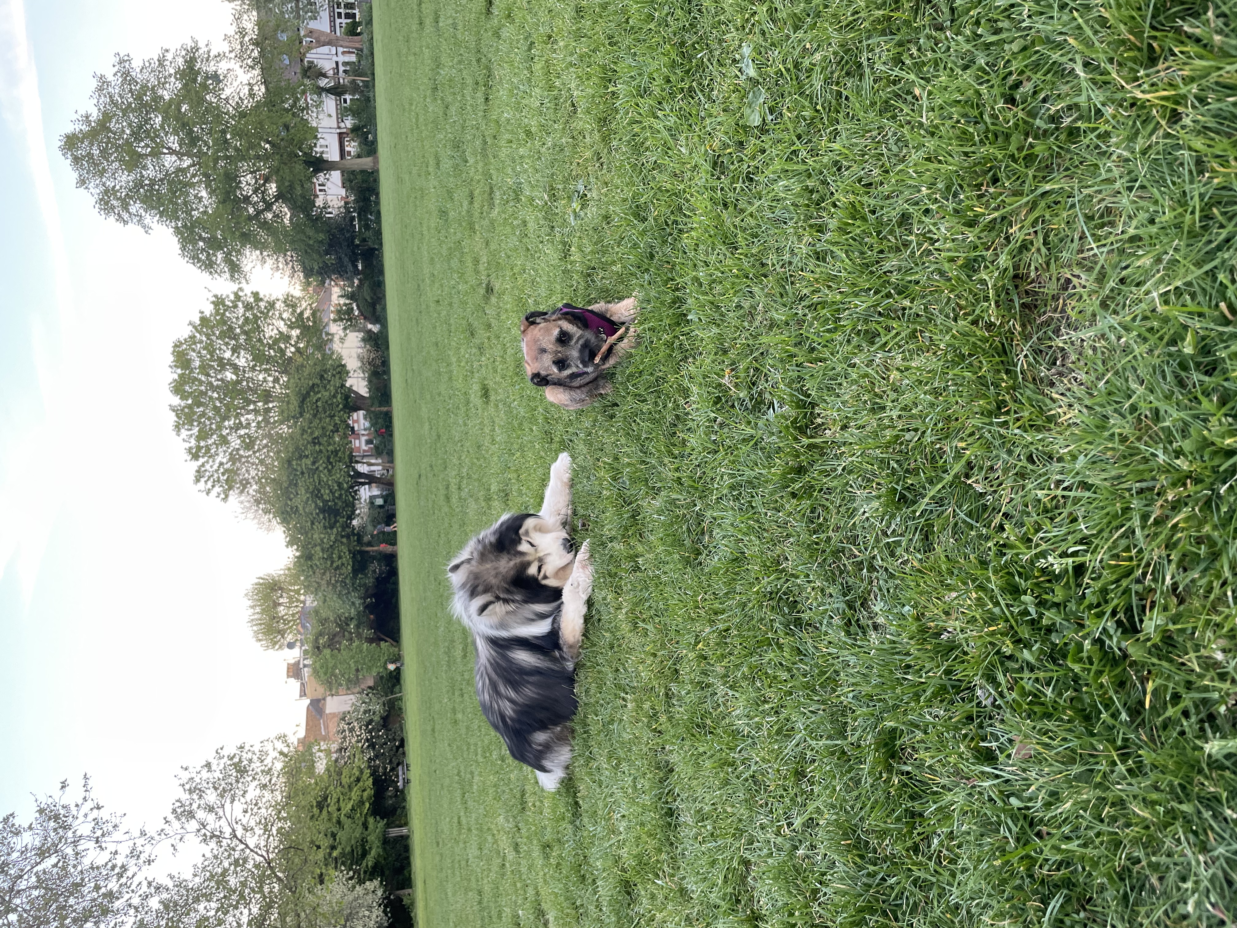 image-17
