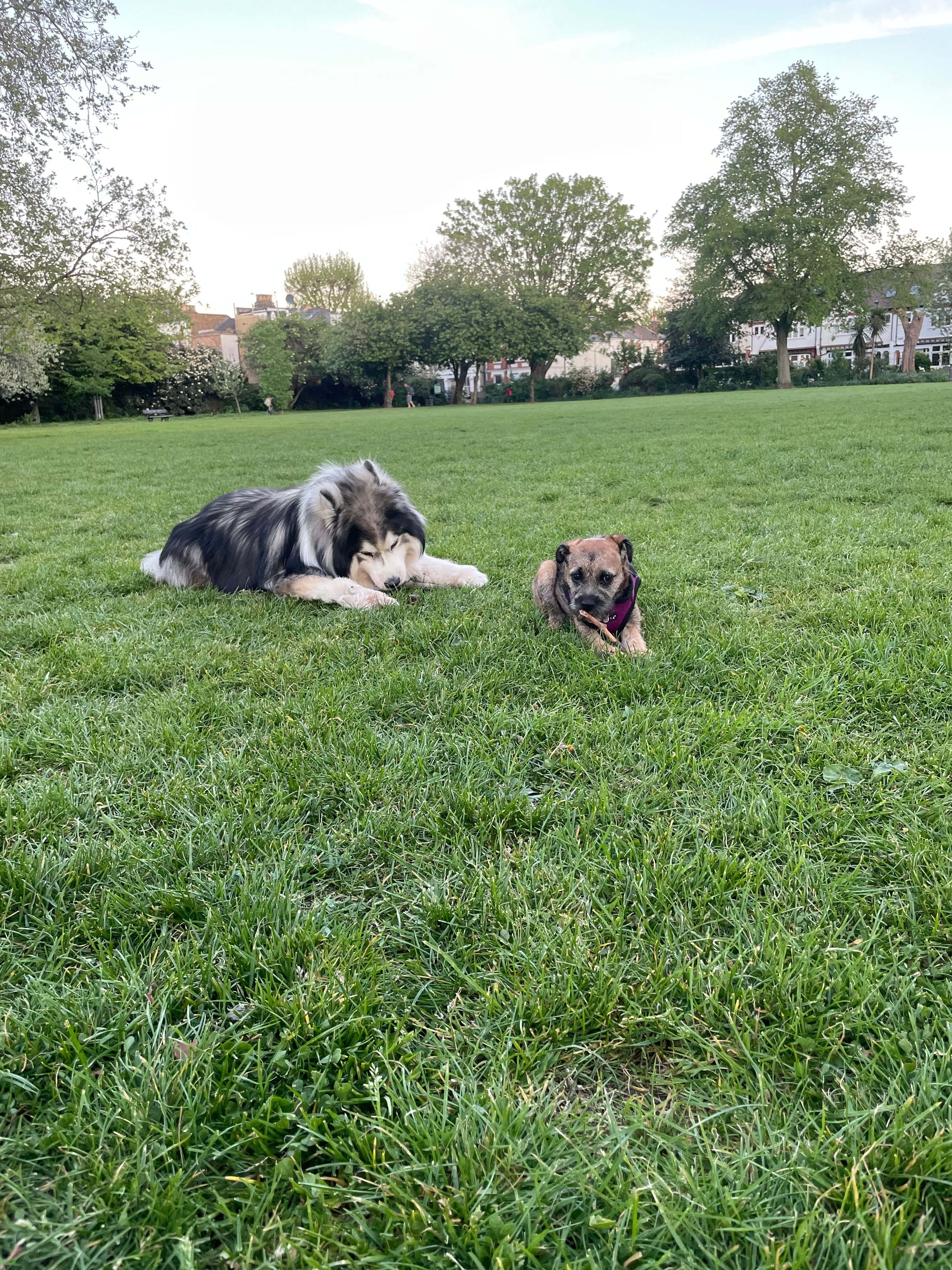 image-17